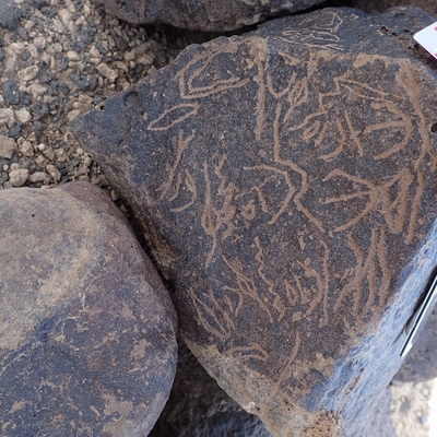 Image of siglum BES20 1350