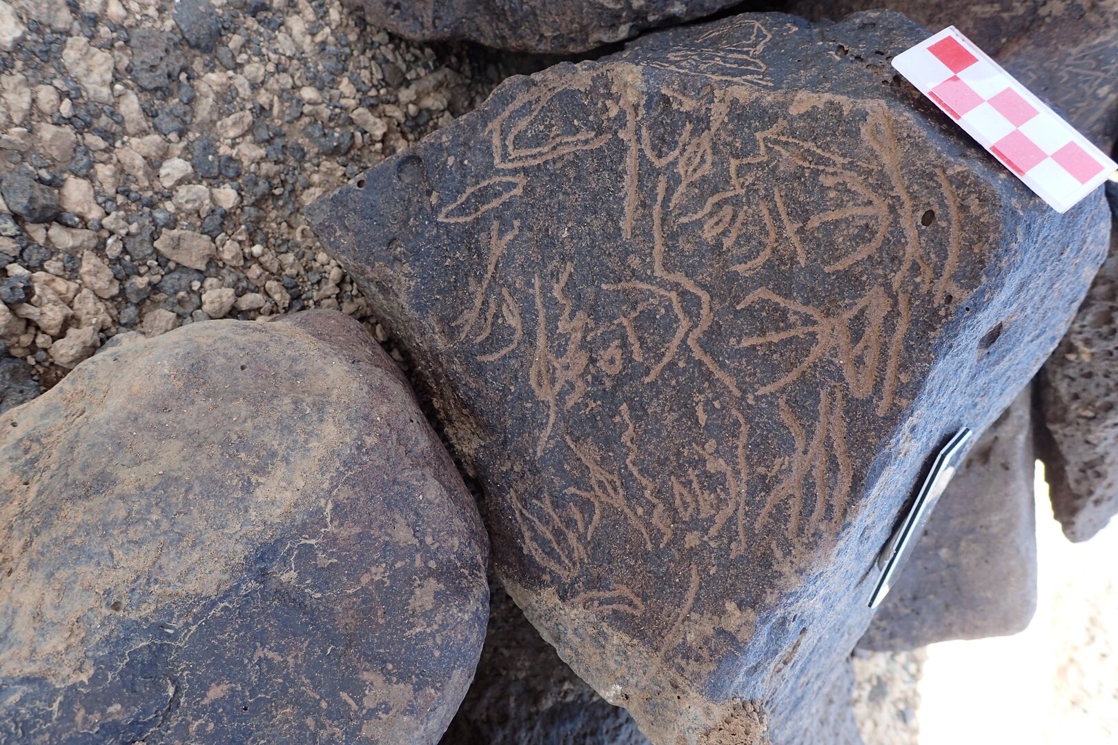 Image of siglum BES20 1350