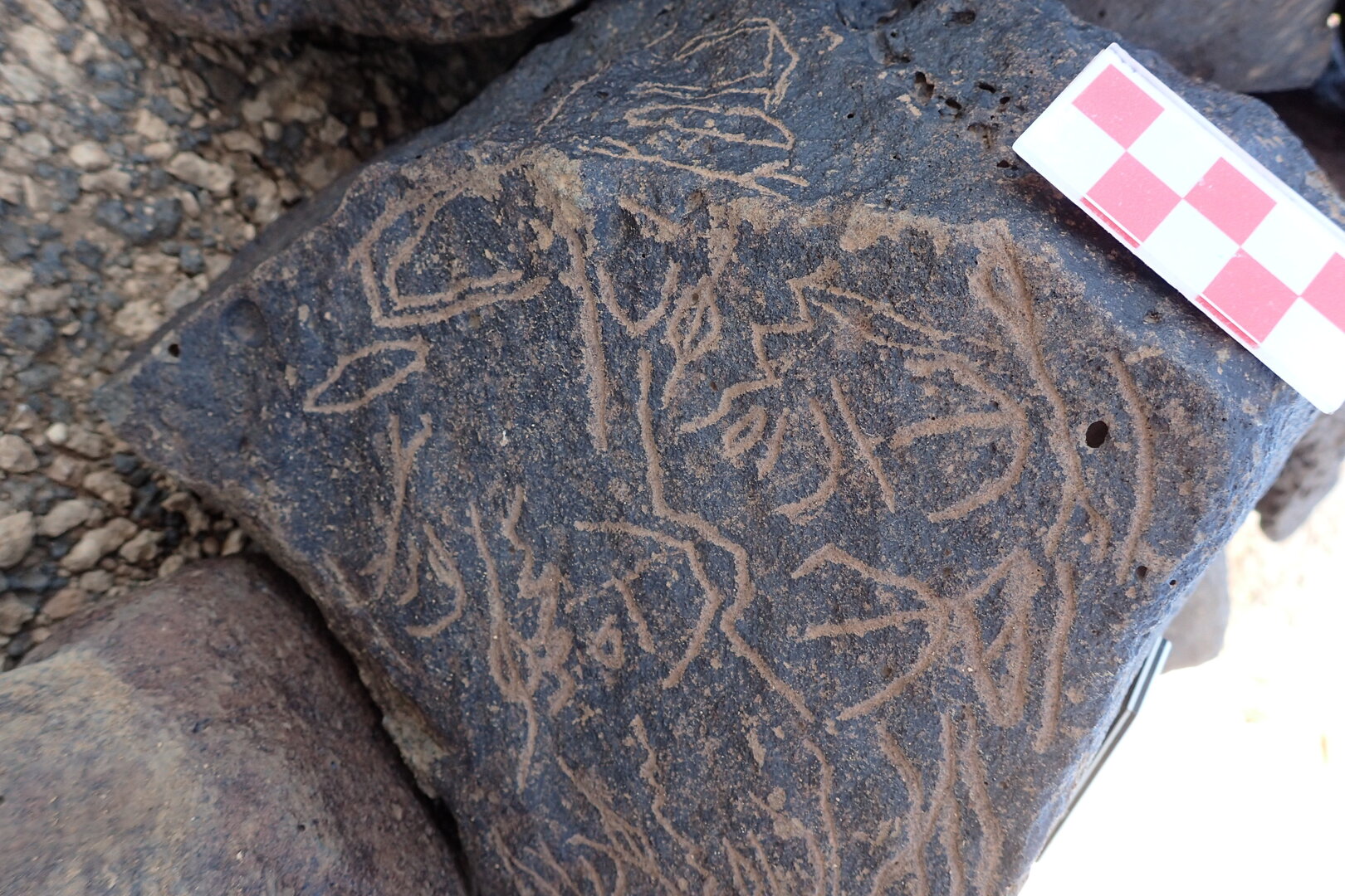 Image of siglum BES20 1350