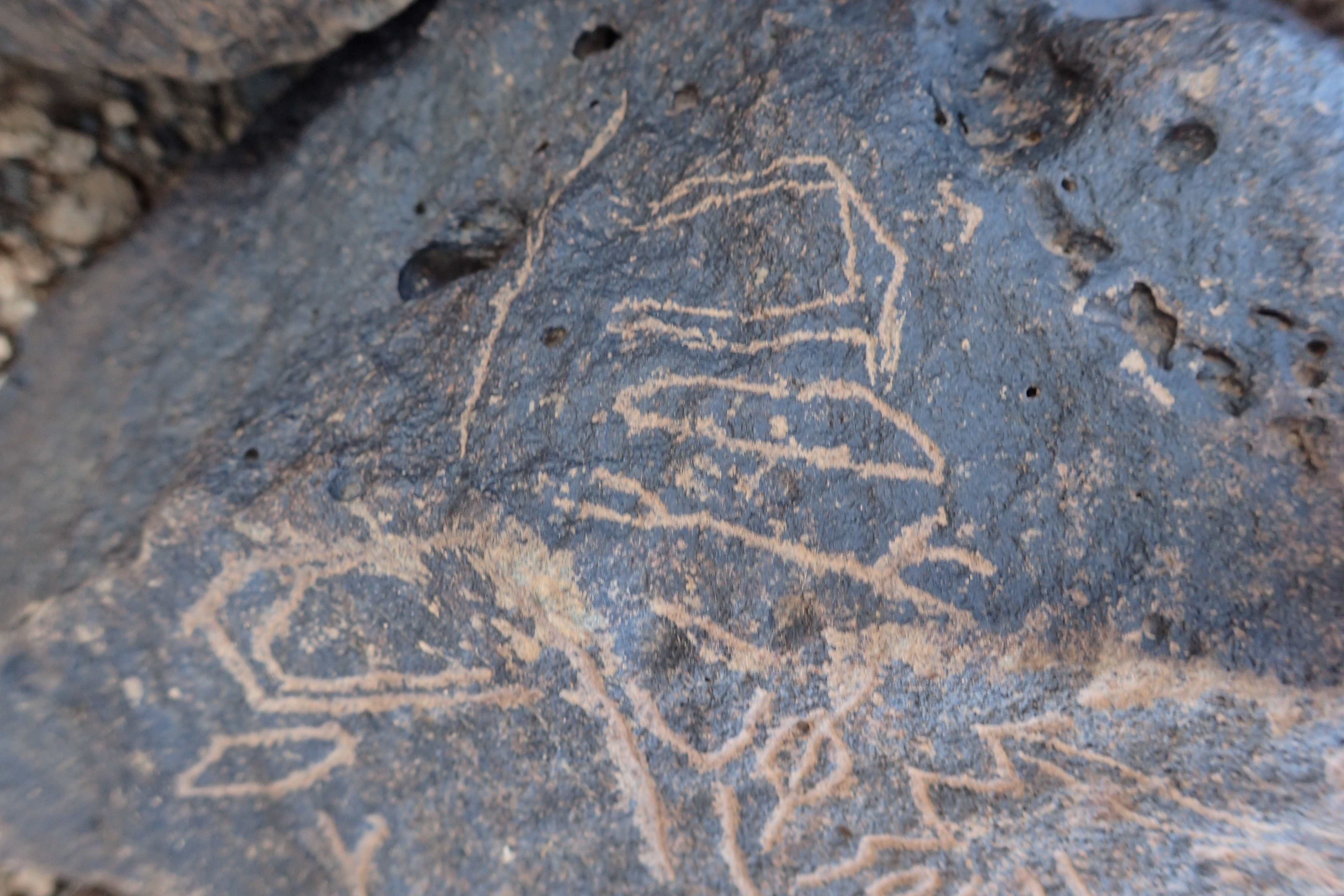 Image of siglum BES20 1351
