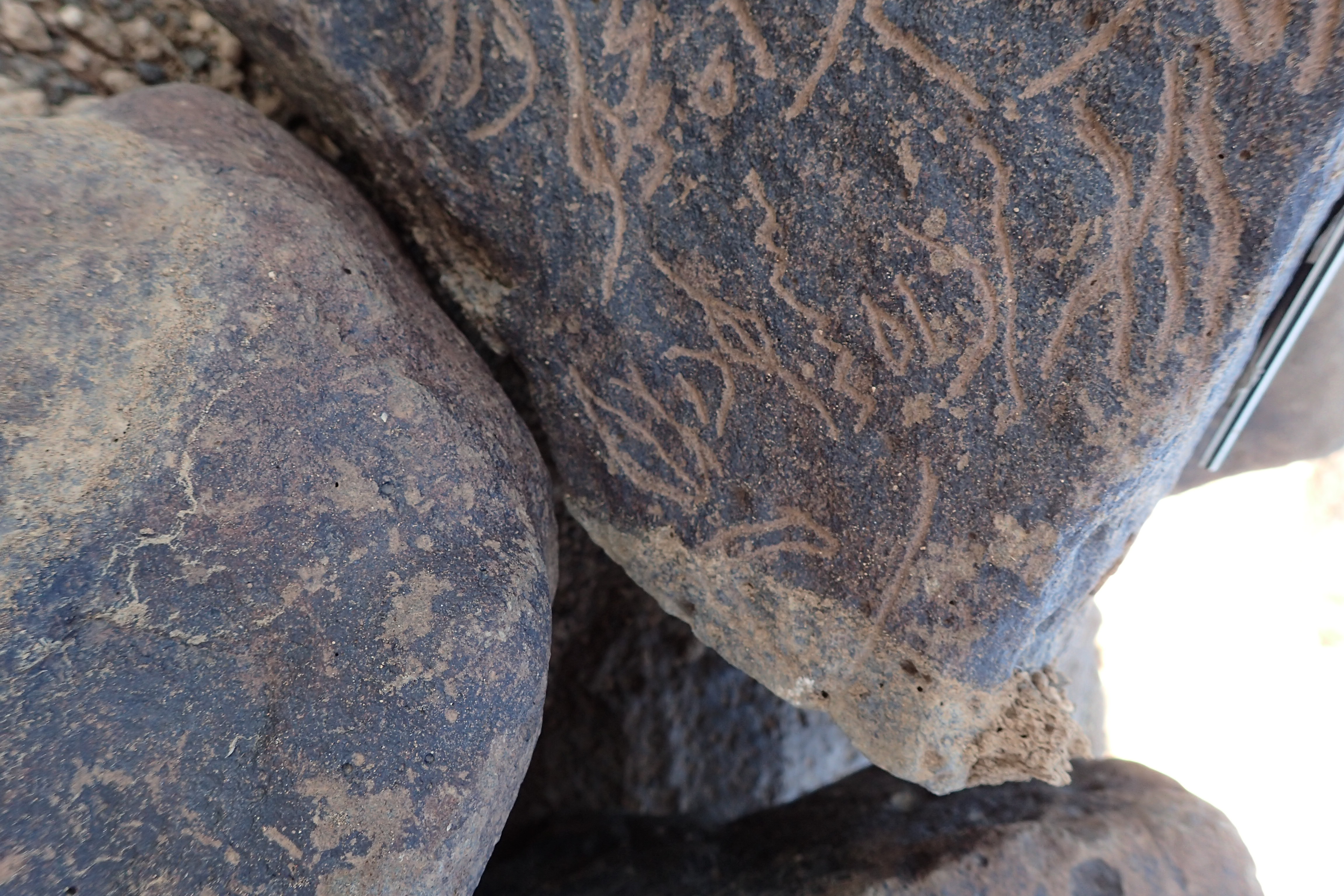 Image of siglum BES20 1351