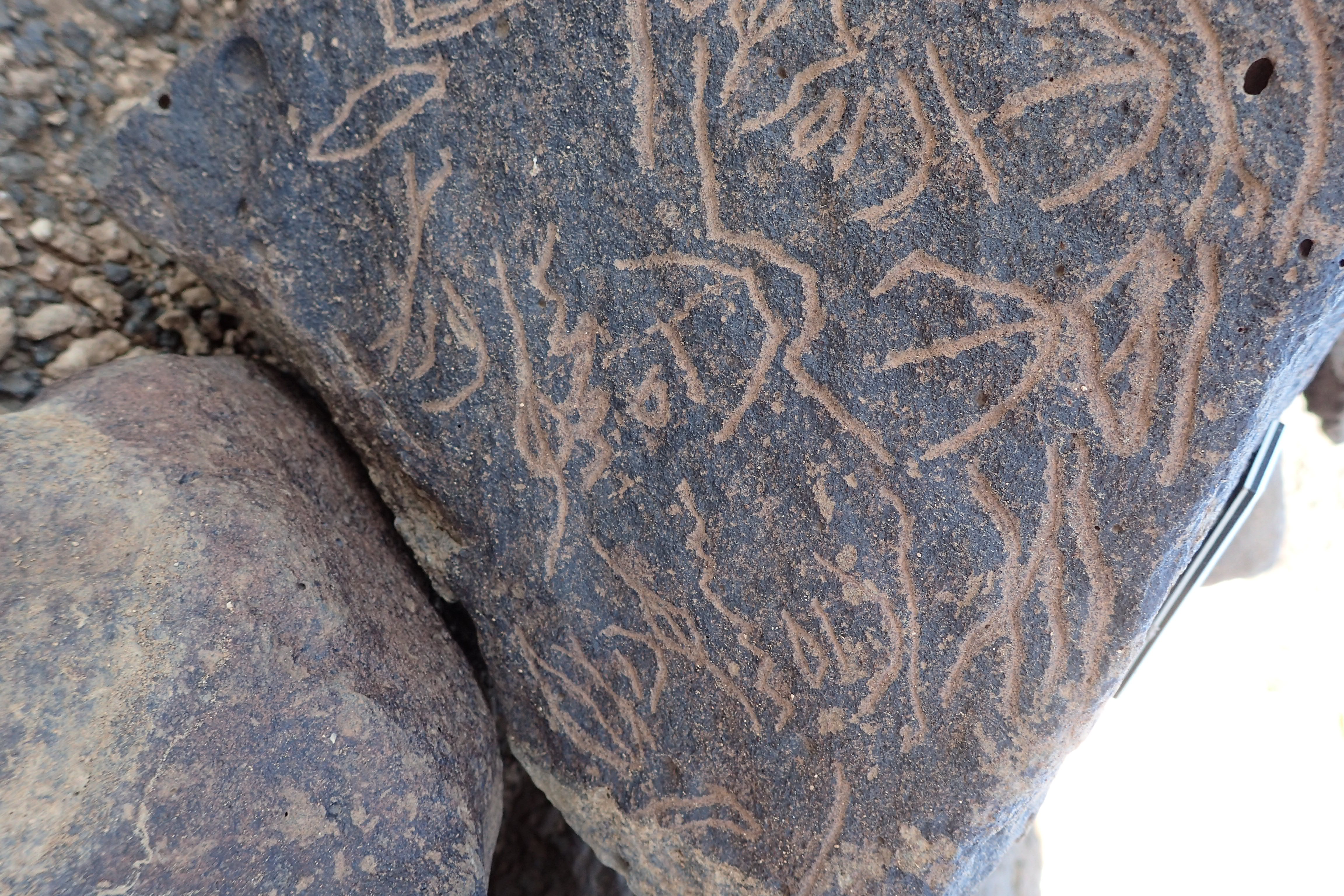 Image of siglum BES20 1351
