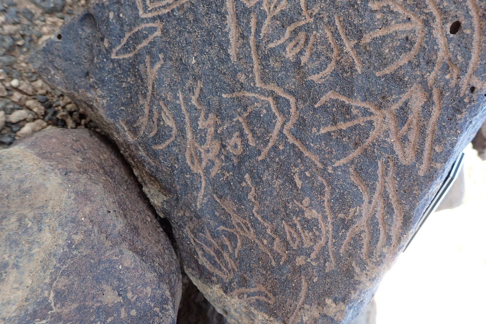 Image of siglum BES20 1351