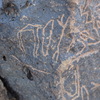 Image of siglum BES20 1351