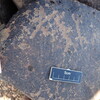 Image of siglum BES20 1351