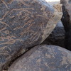 Image of siglum BES20 1351