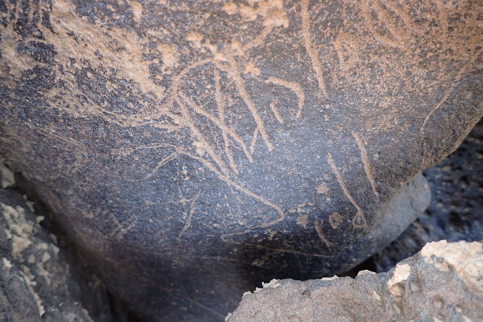Image of siglum BES20 1353