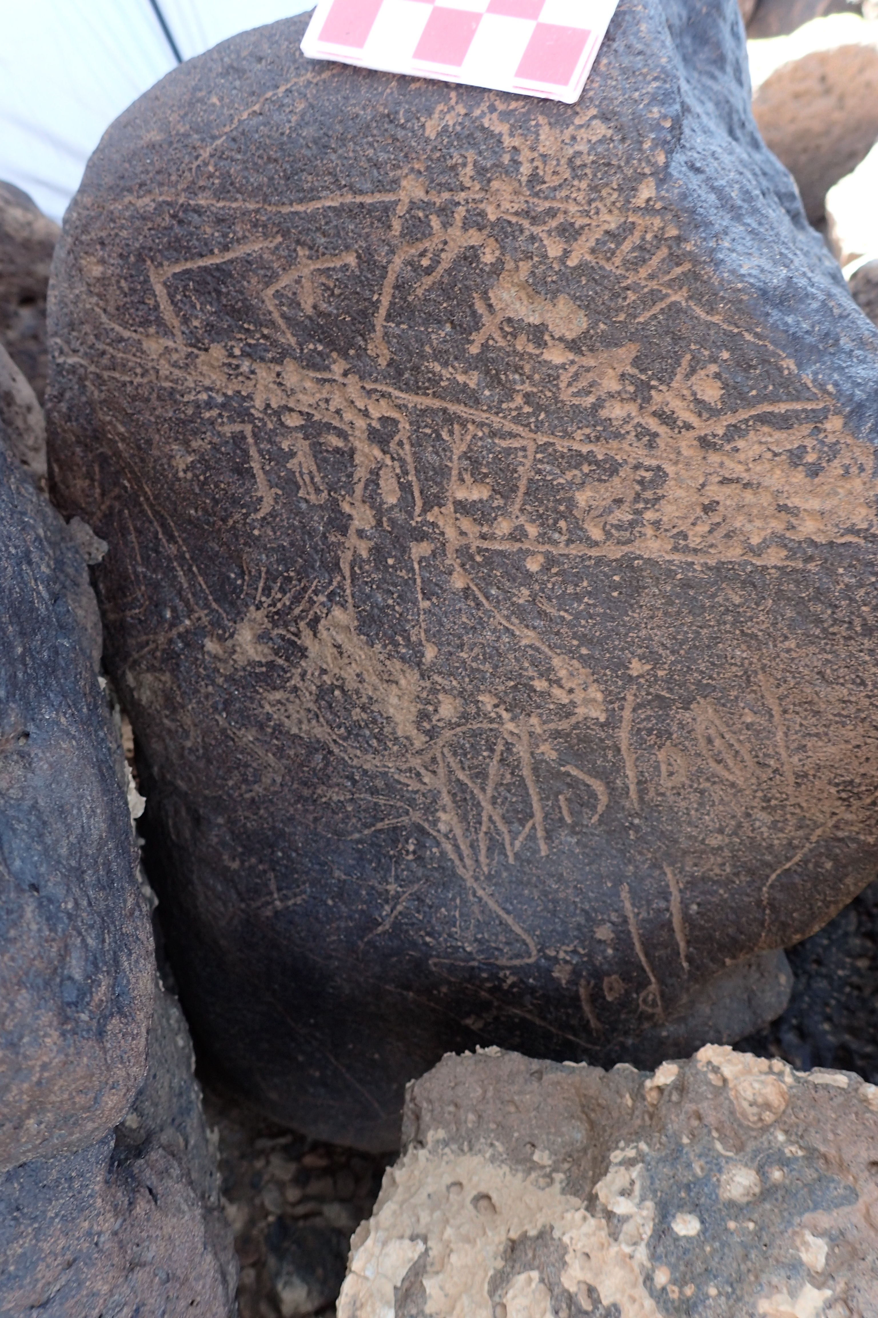 Image of siglum BES20 1354