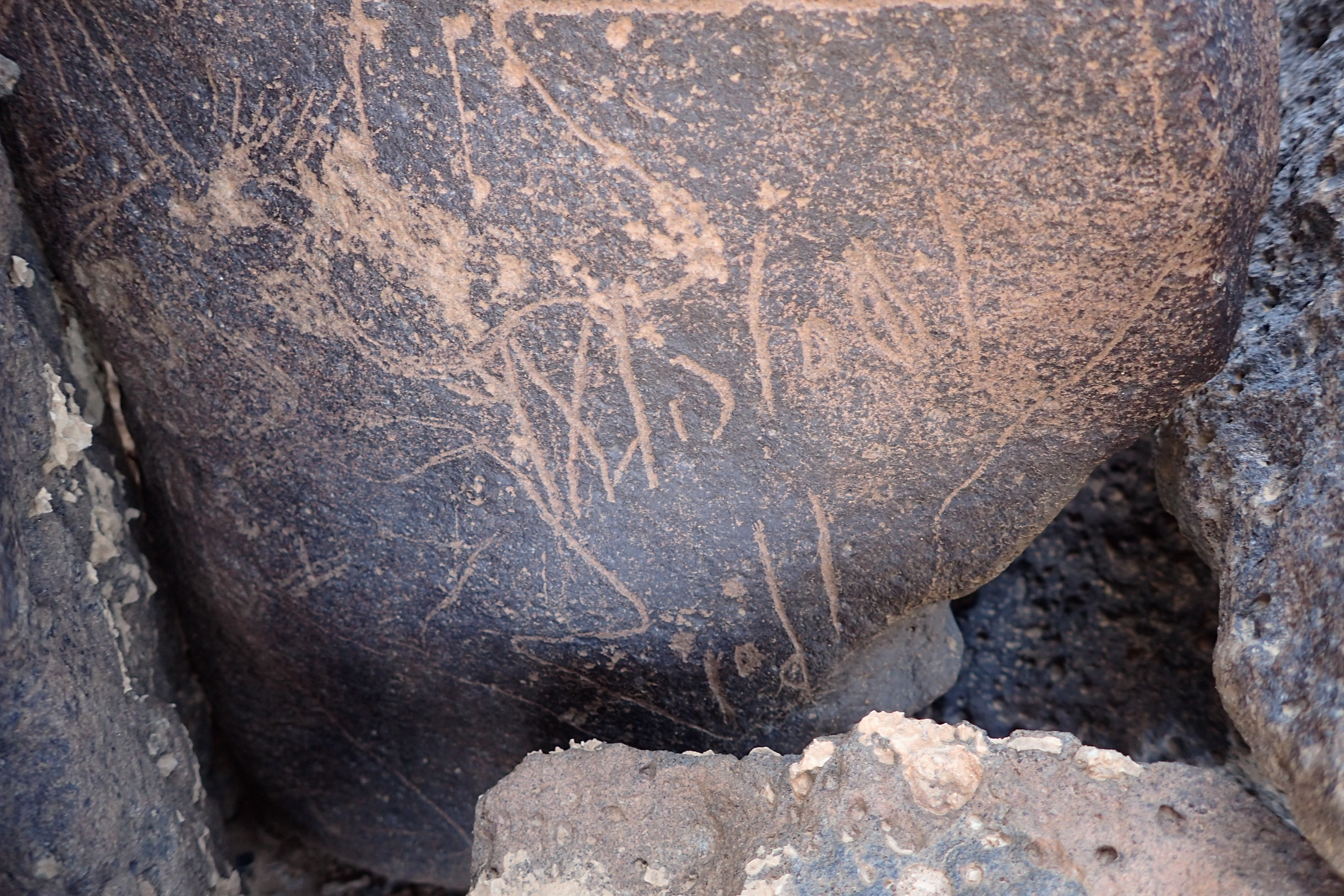 Image of siglum BES20 1354