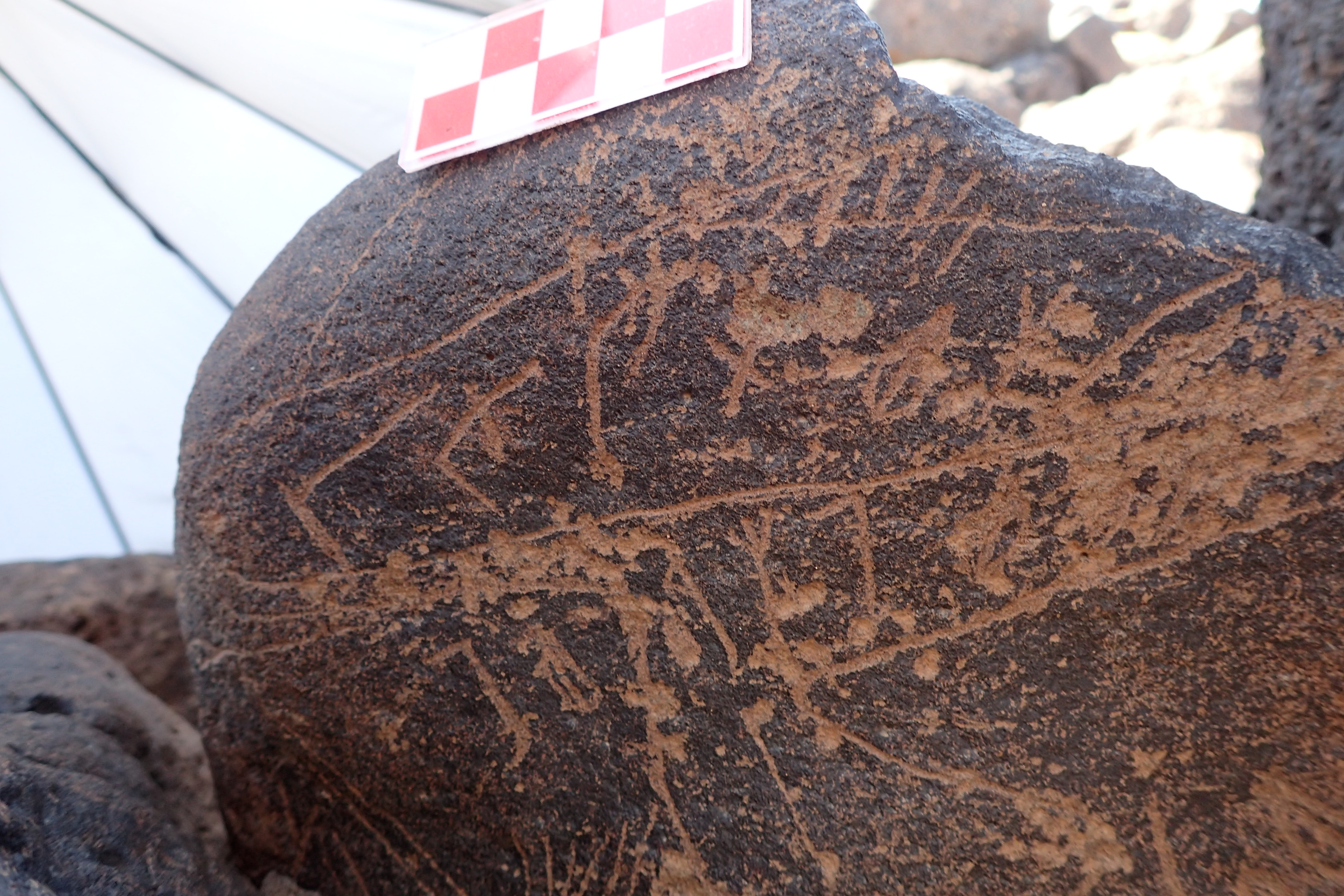 Image of siglum BES20 1354