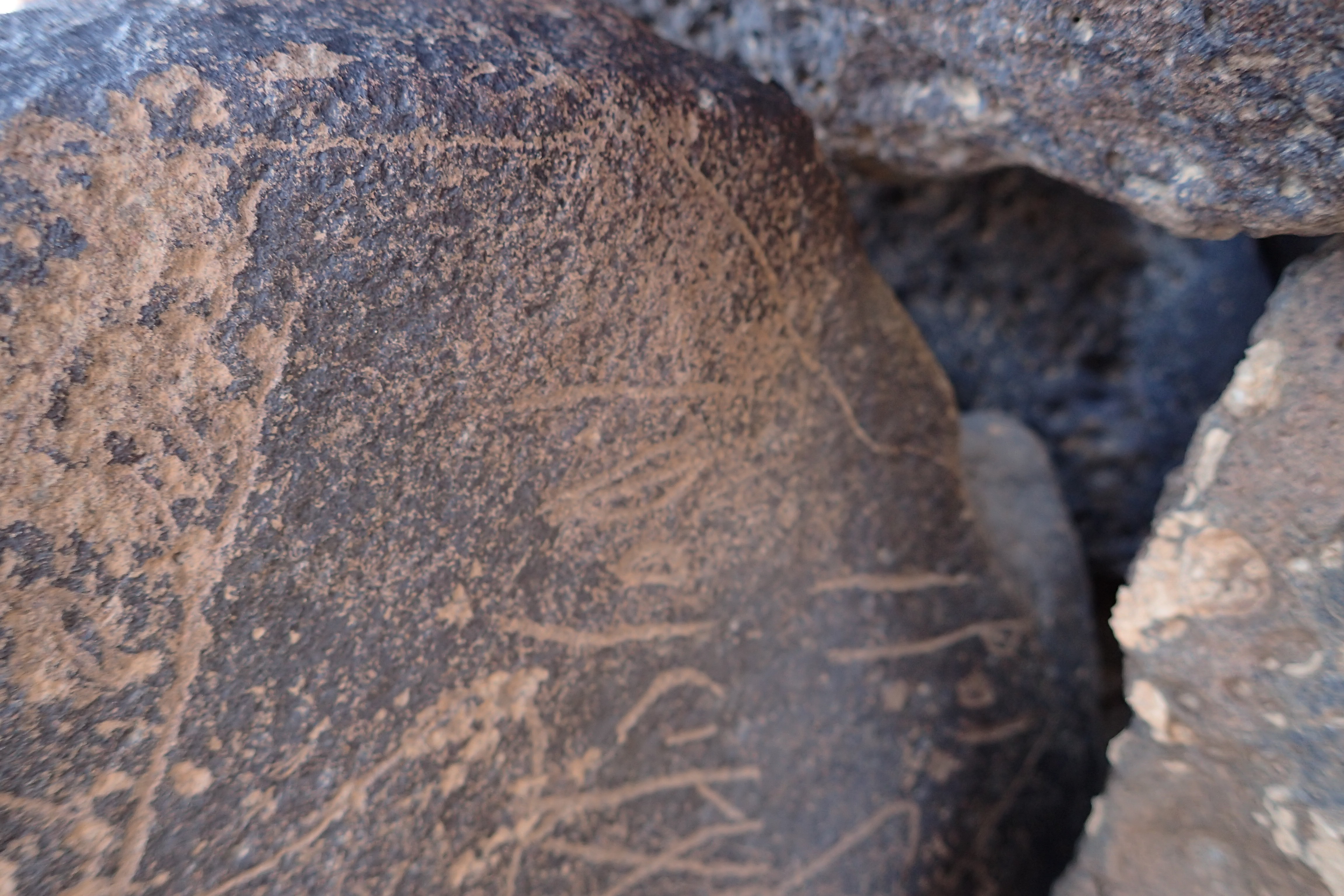 Image of siglum BES20 1354