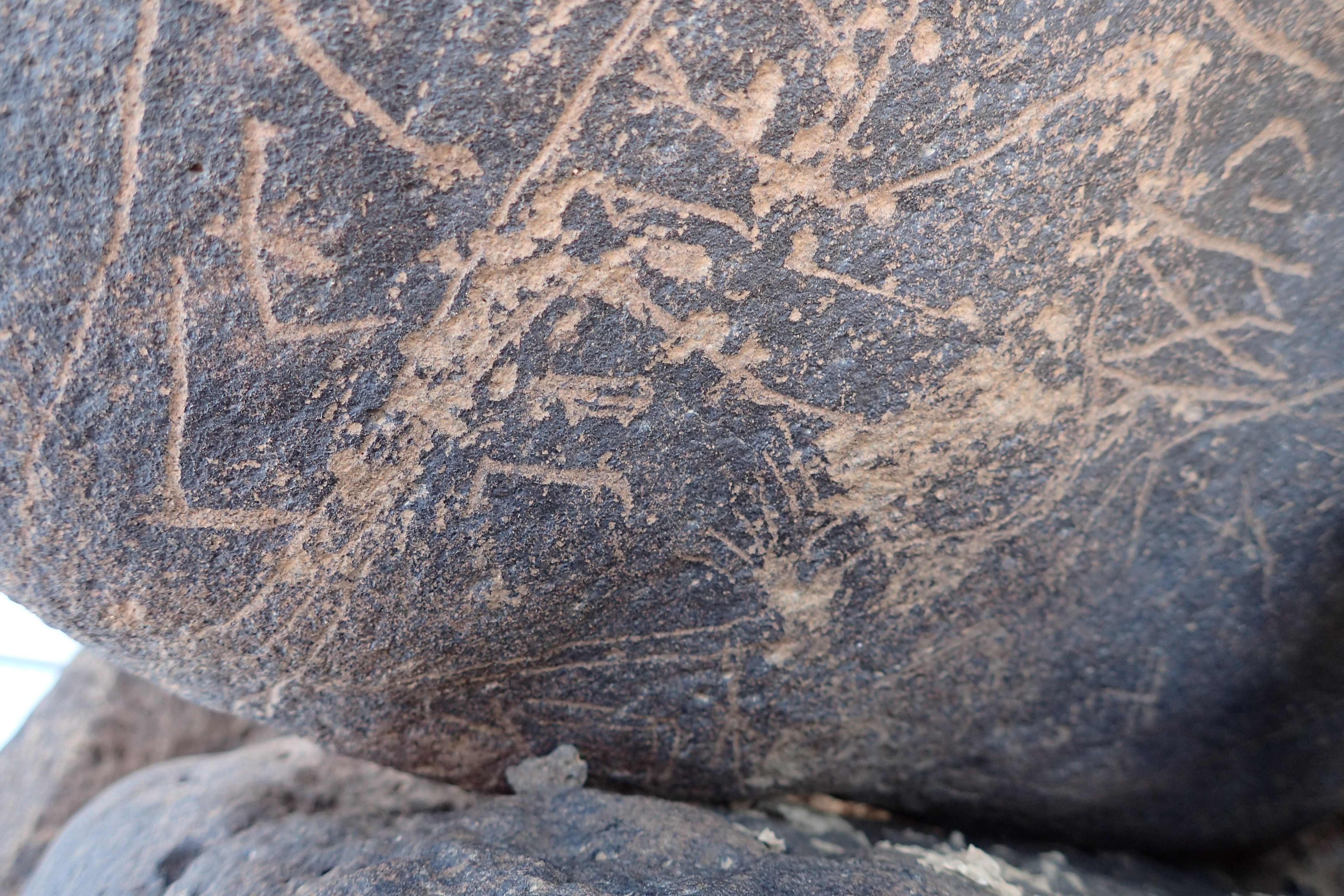 Image of siglum BES20 1354