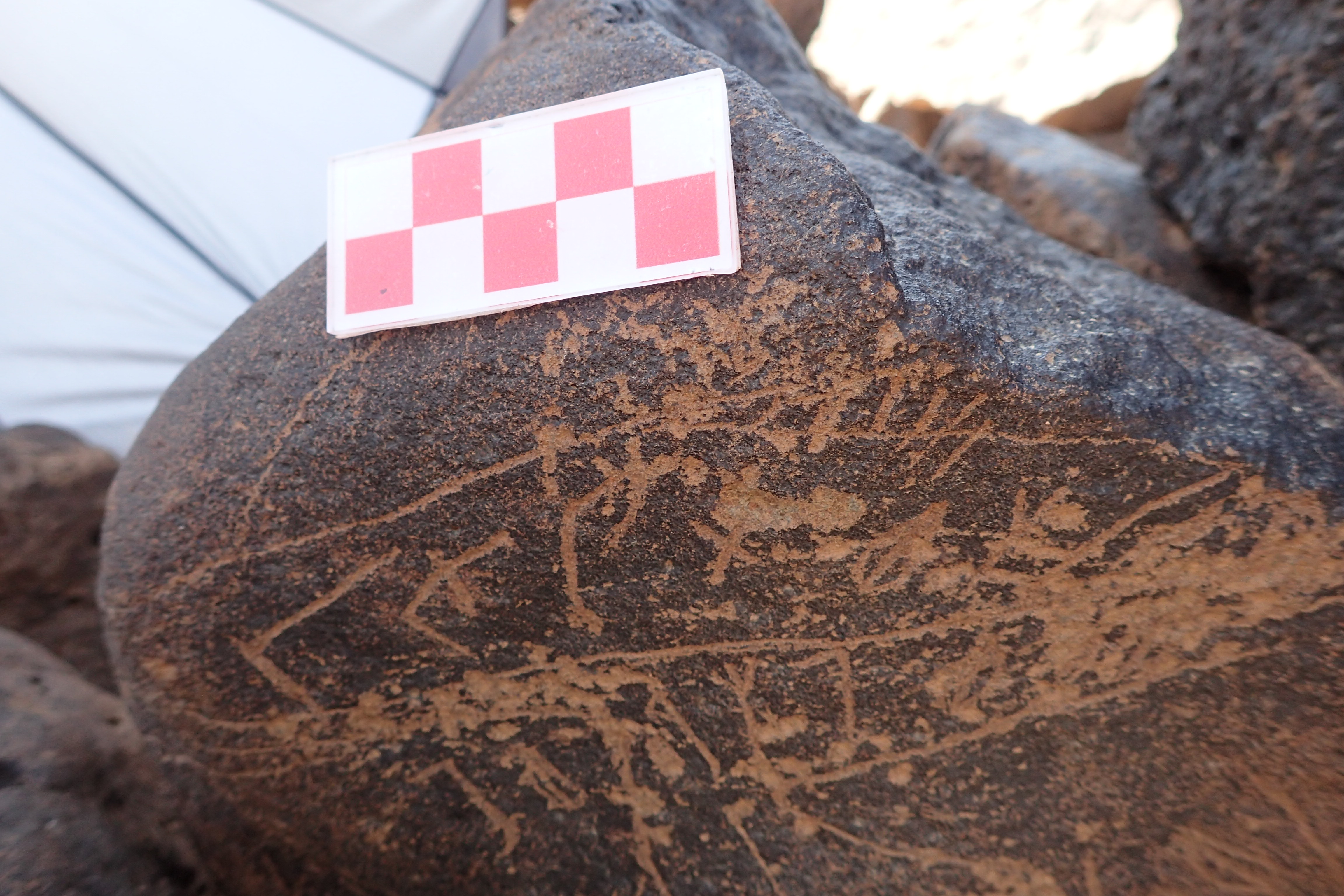 Image of siglum BES20 1354