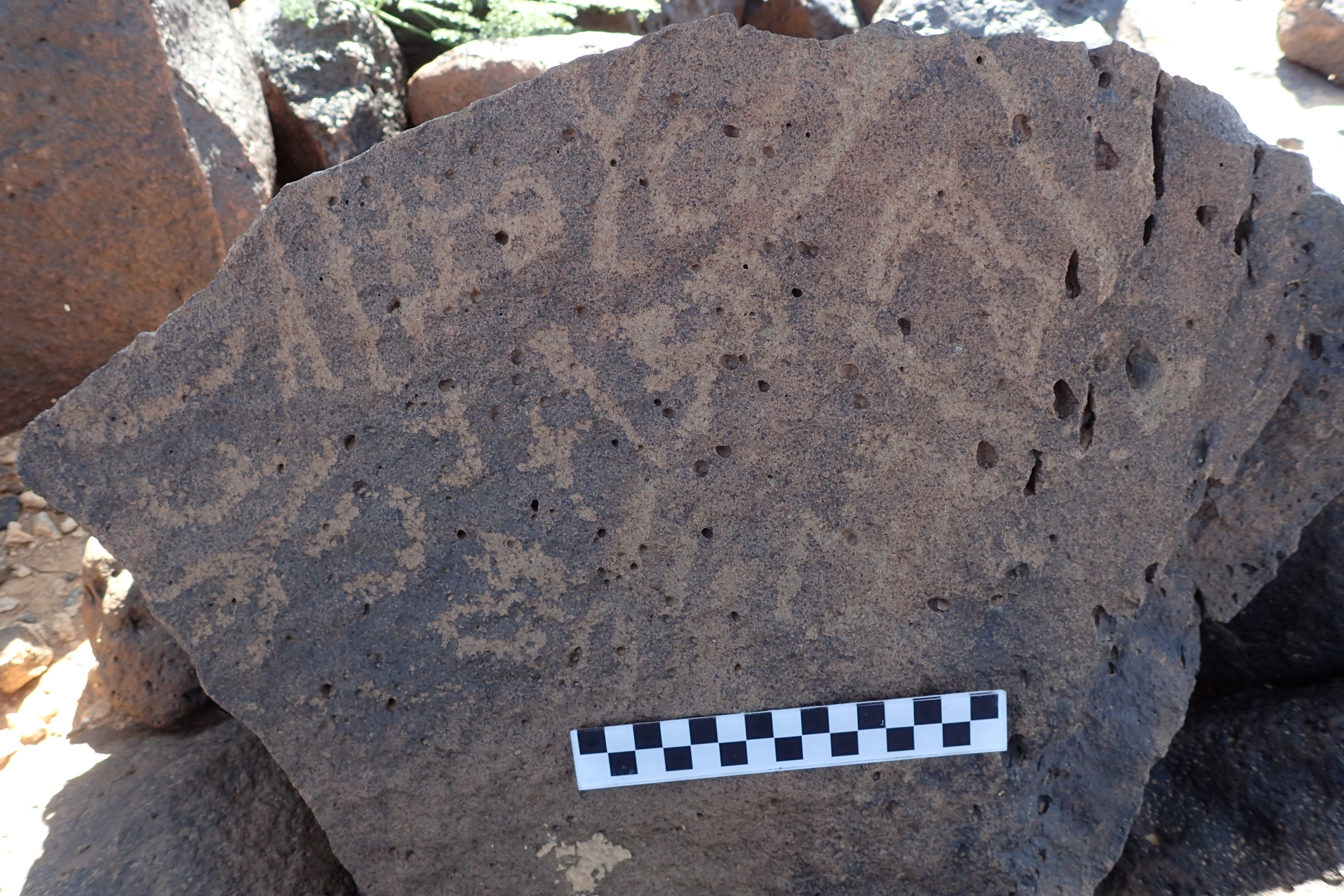 Image of siglum BES20 1355