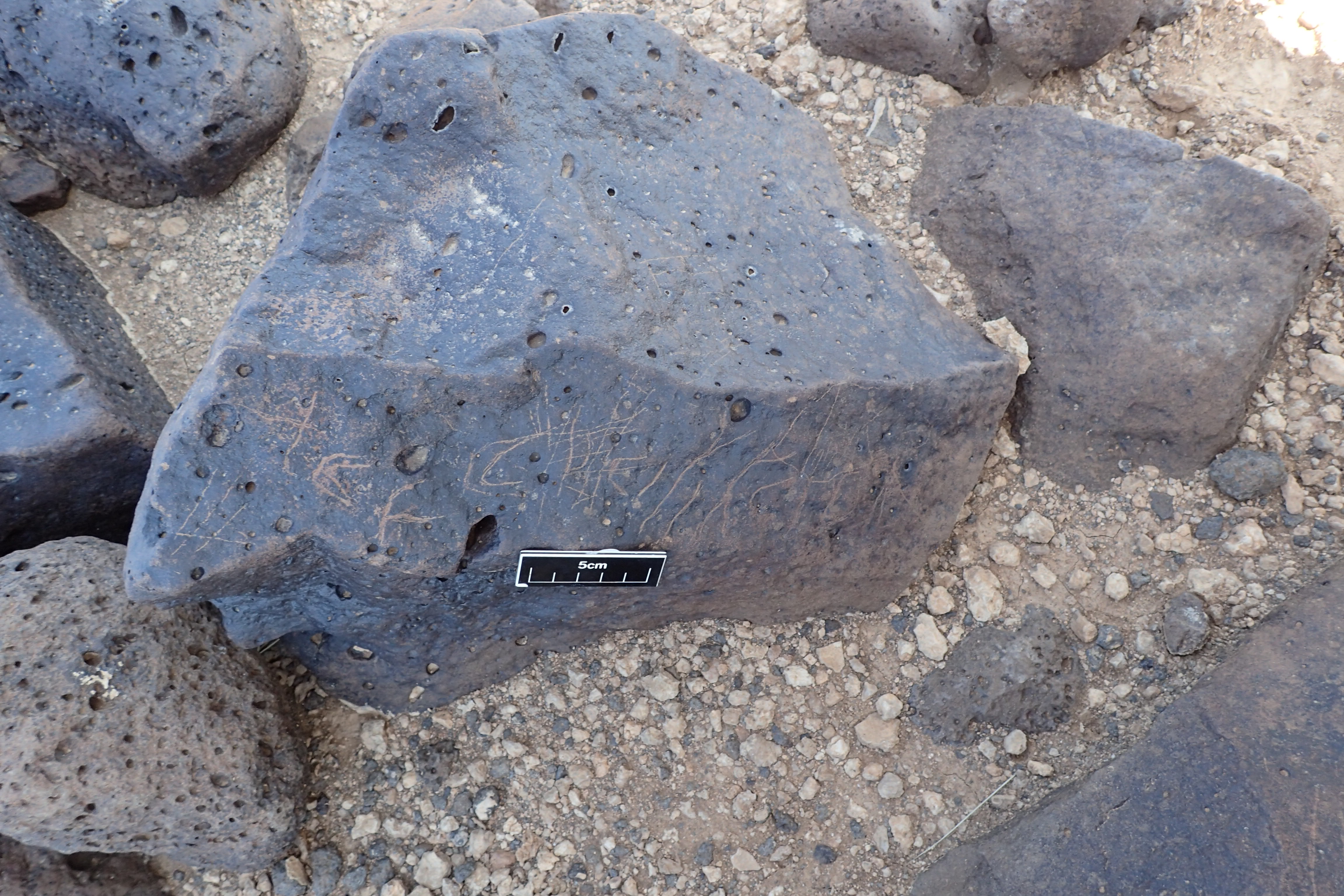 Image of siglum BES20 1356