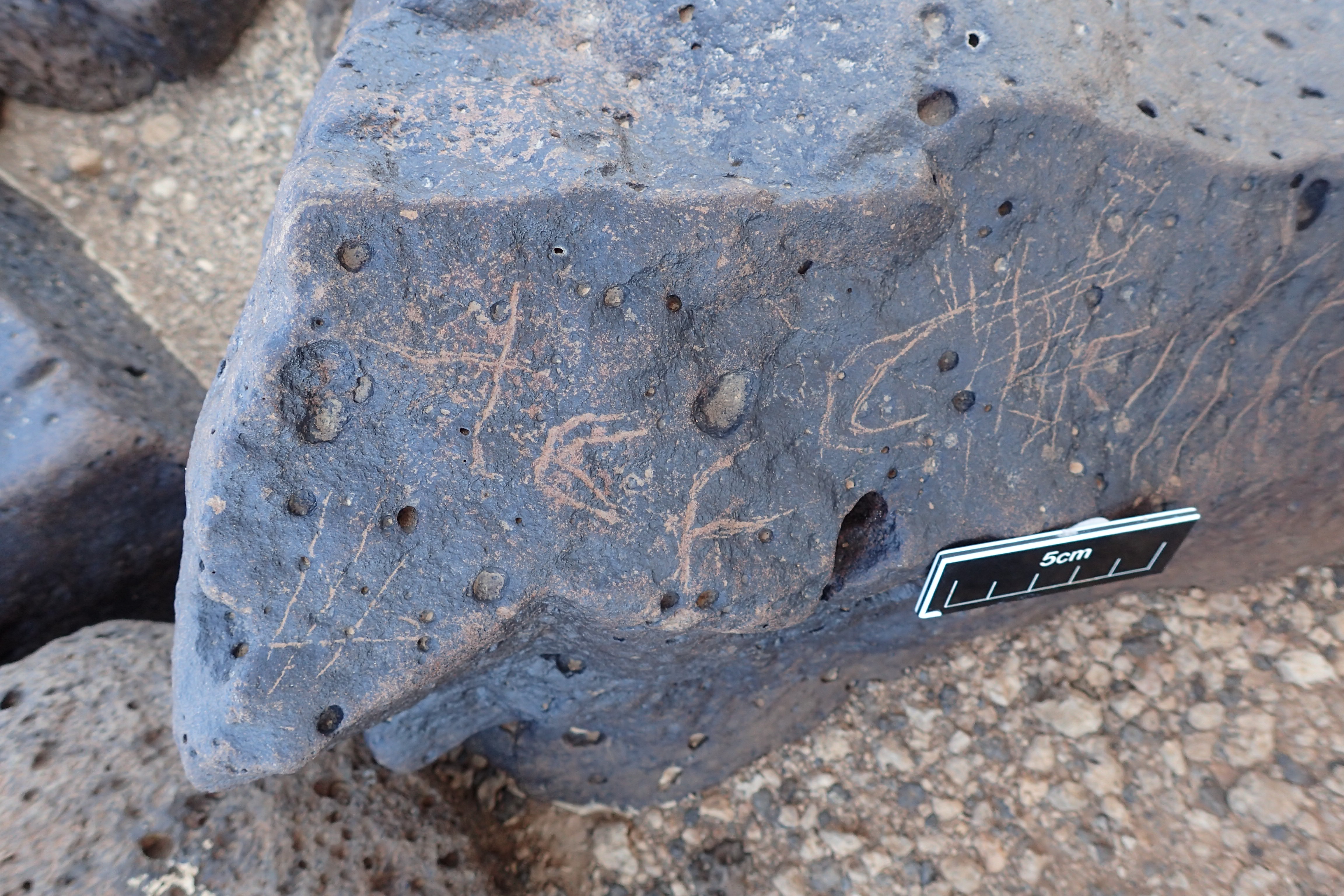 Image of siglum BES20 1356