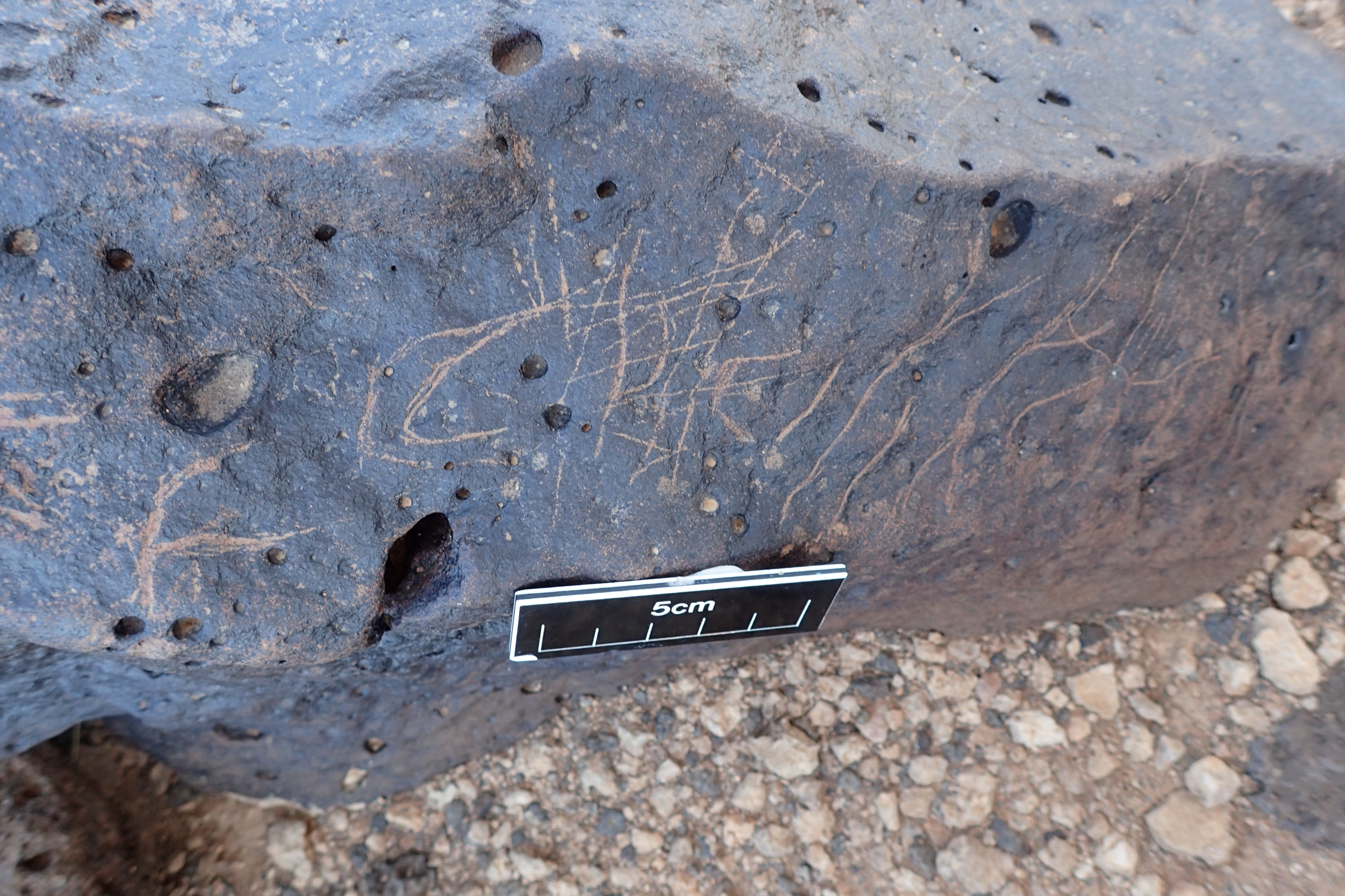 Image of siglum BES20 1356