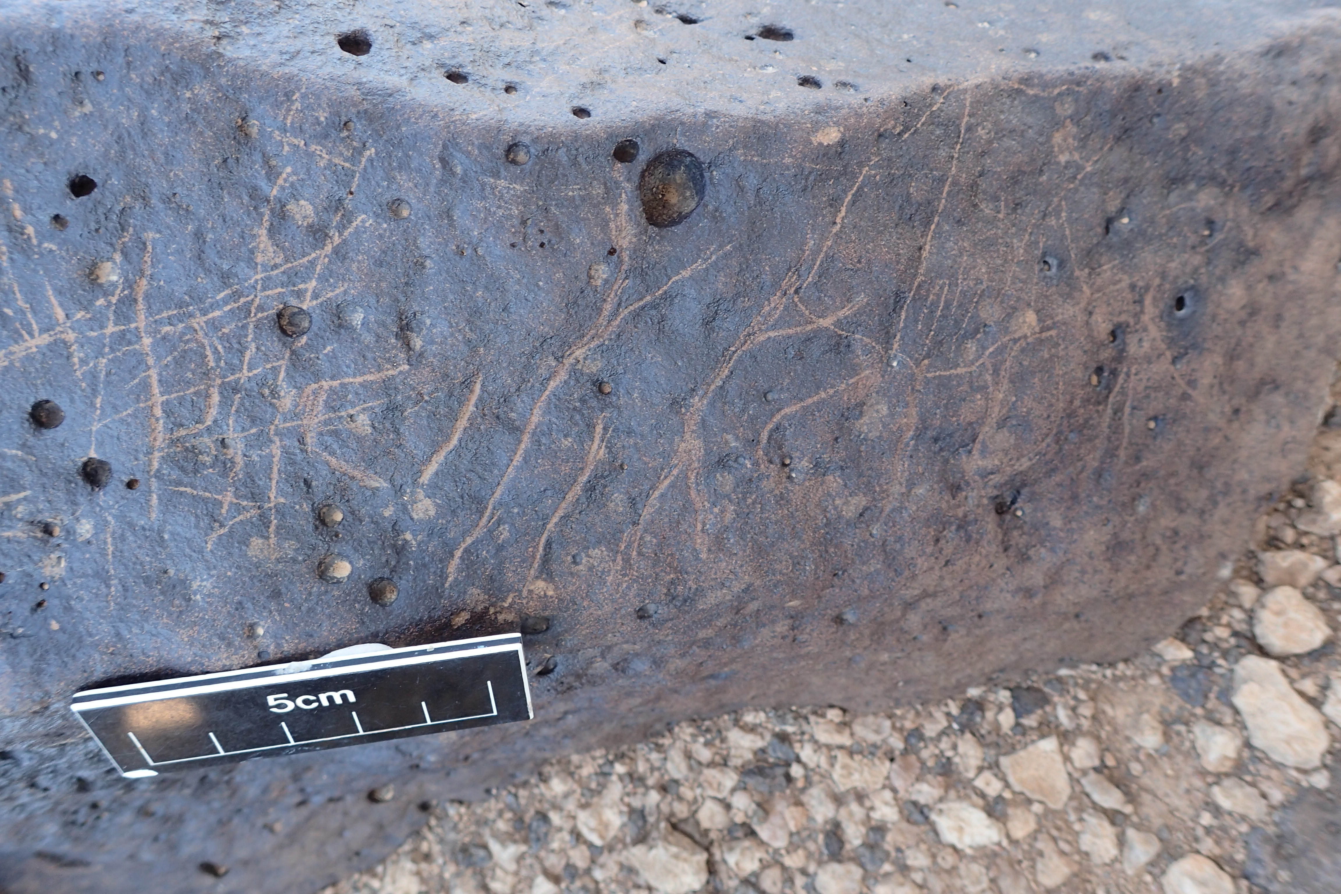 Image of siglum BES20 1356