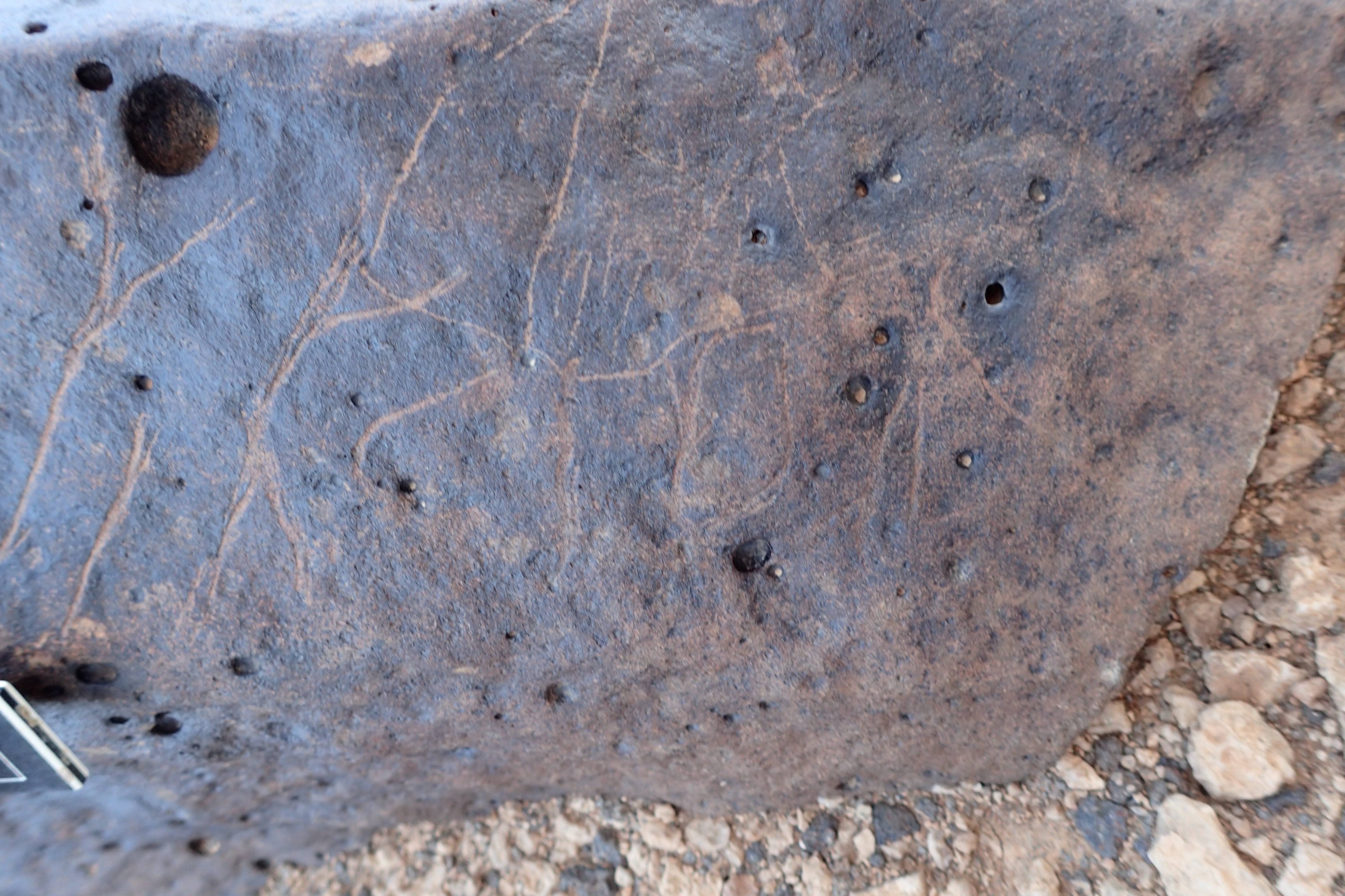 Image of siglum BES20 1356