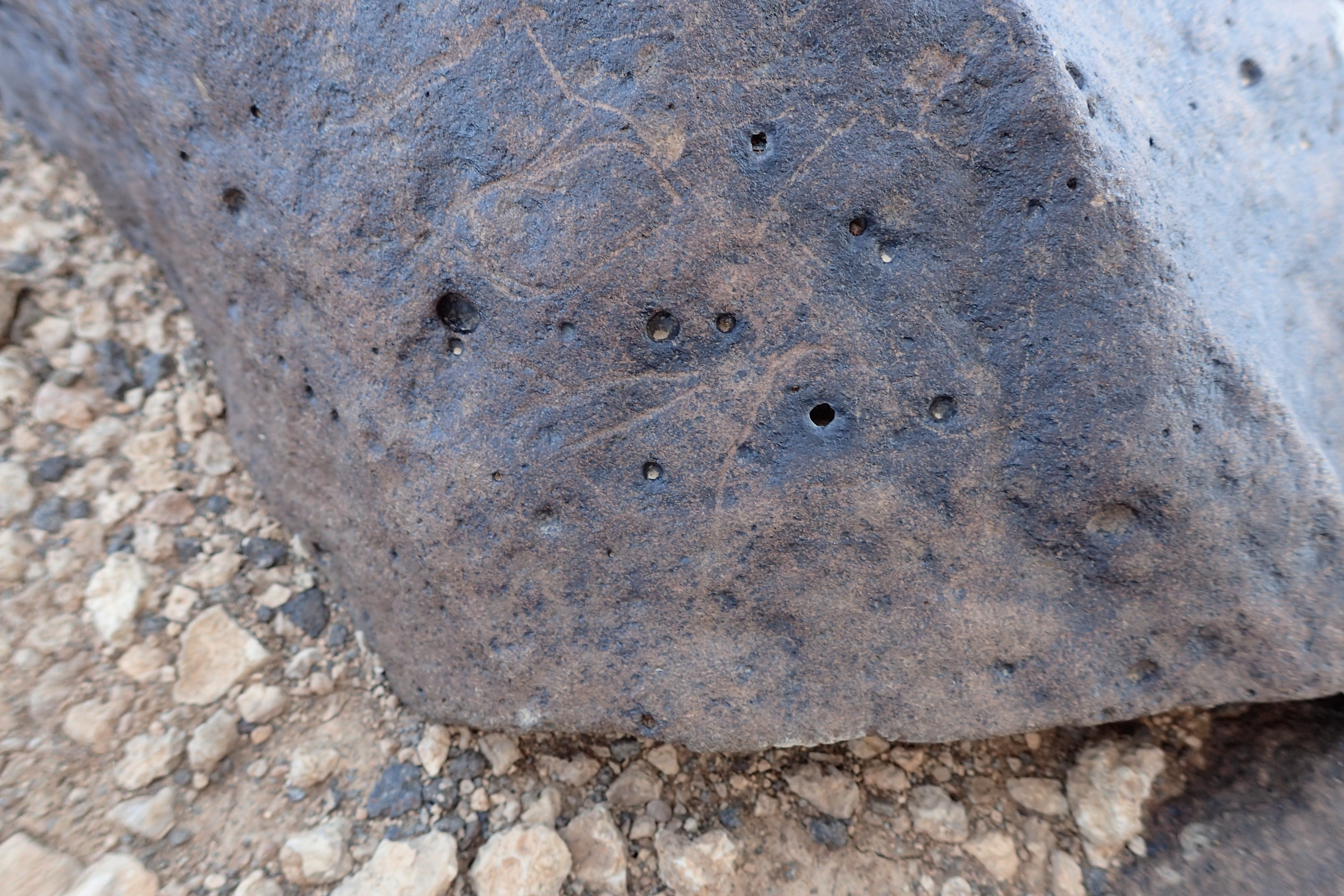 Image of siglum BES20 1356