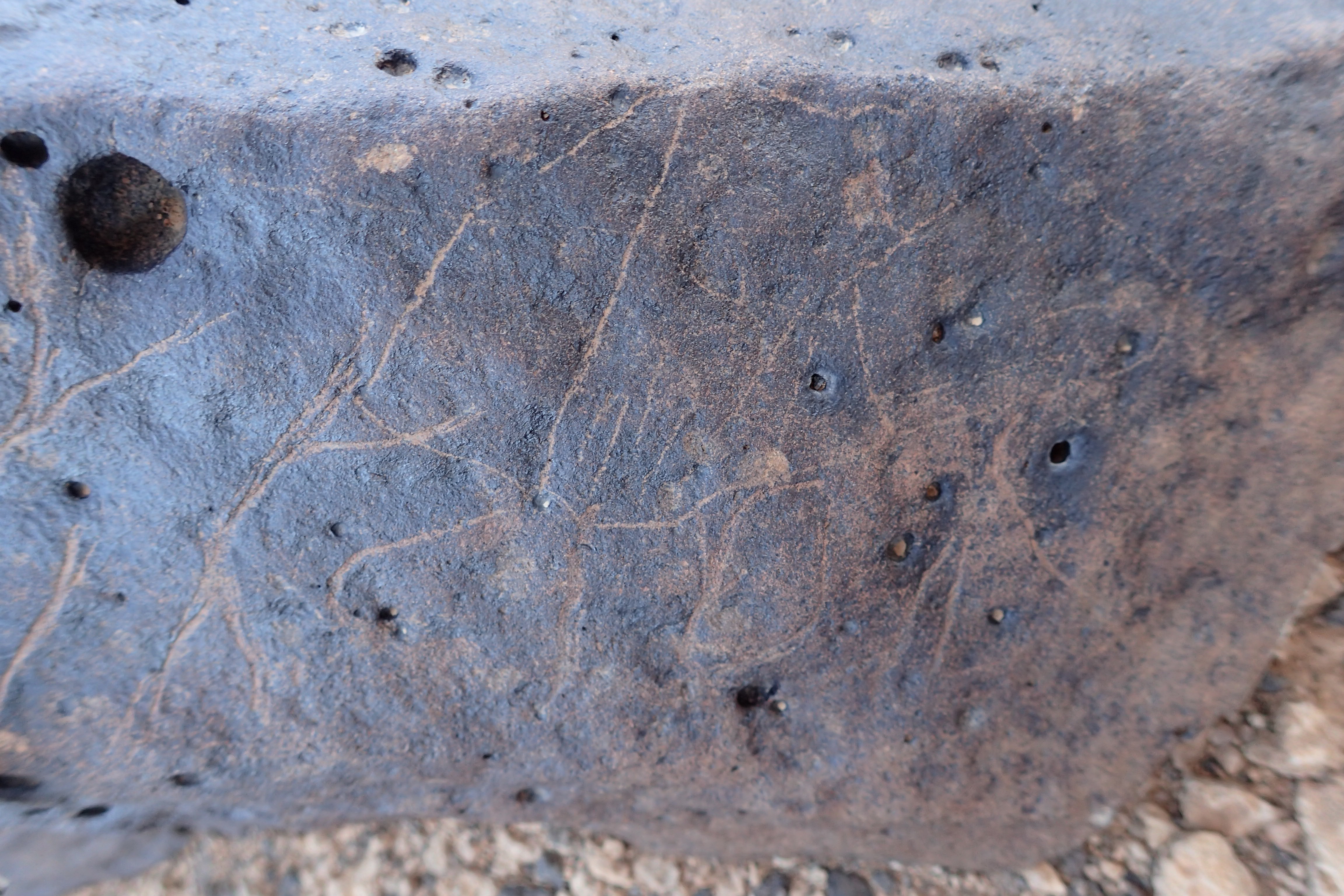 Image of siglum BES20 1356