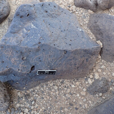 Image of siglum BES20 1356