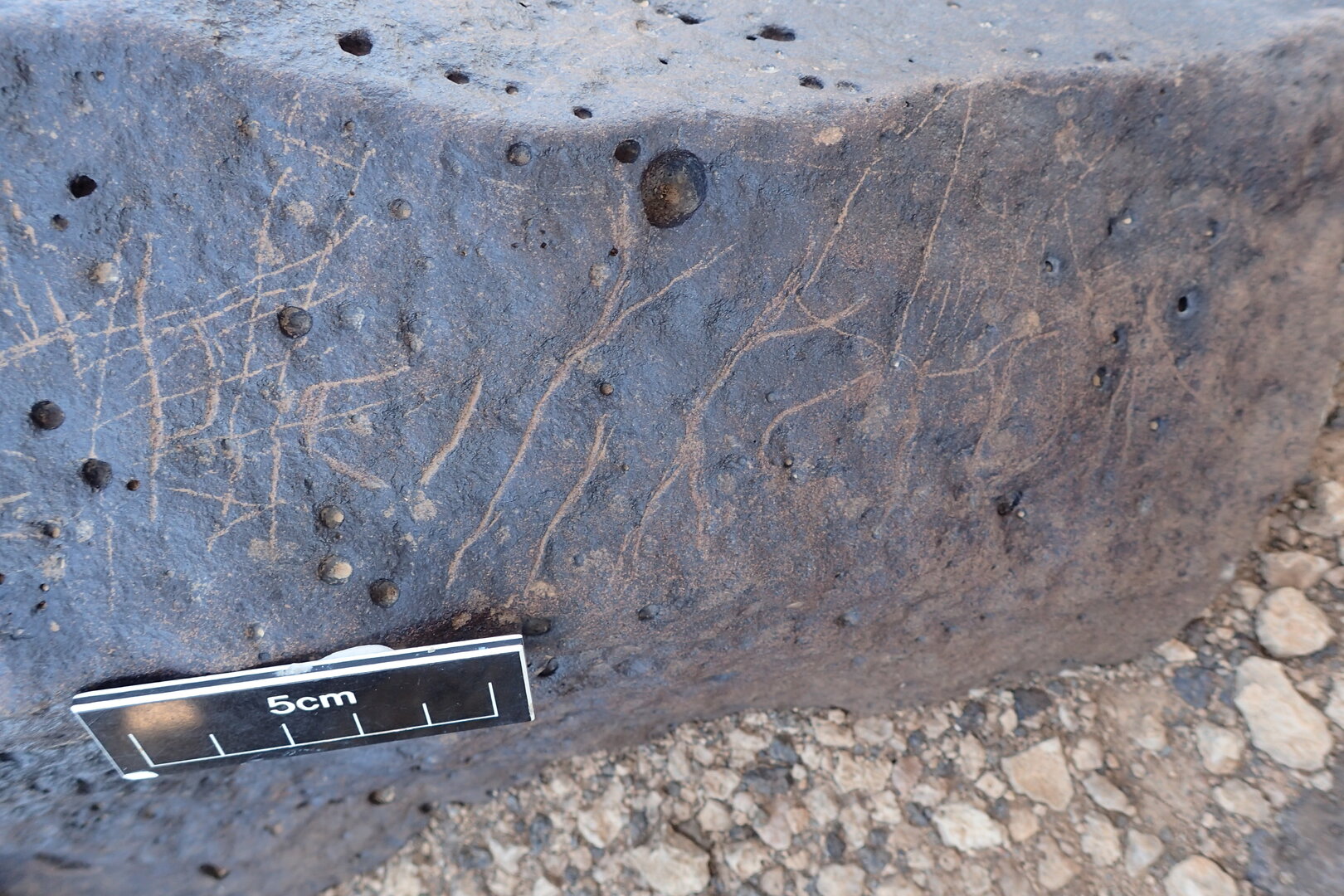 Image of siglum BES20 1356