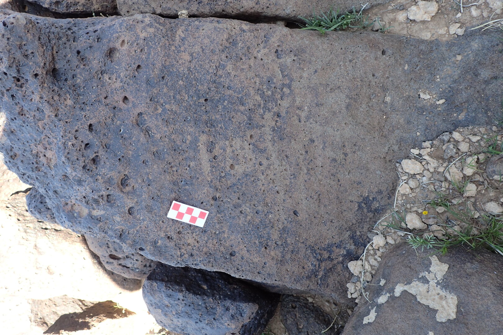 Image of siglum BES20 1358