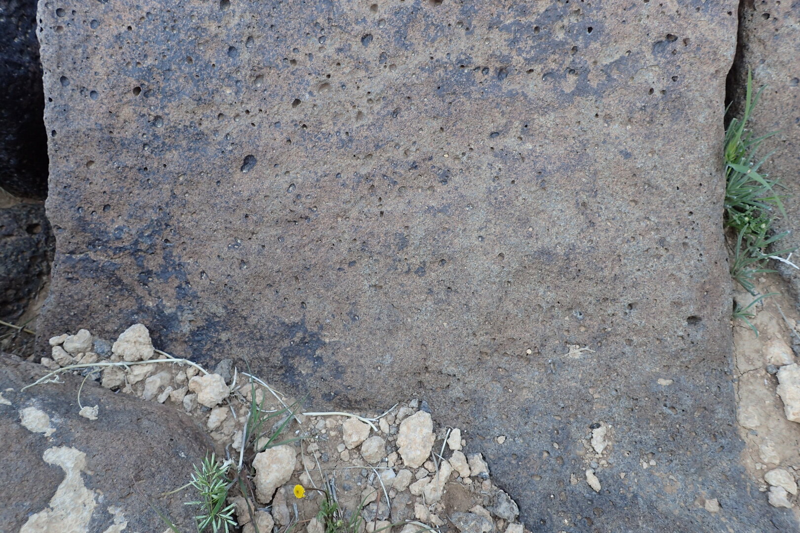 Image of siglum BES20 1358