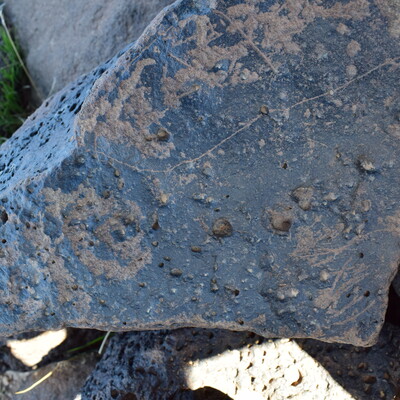 Image of siglum BES20 1361