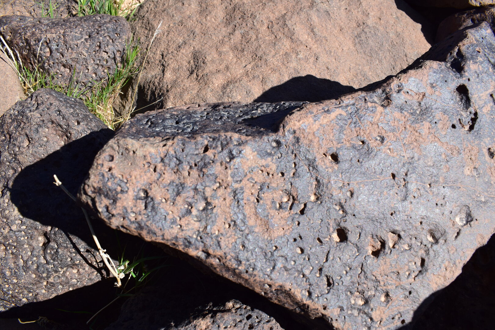 Image of siglum BES20 1361