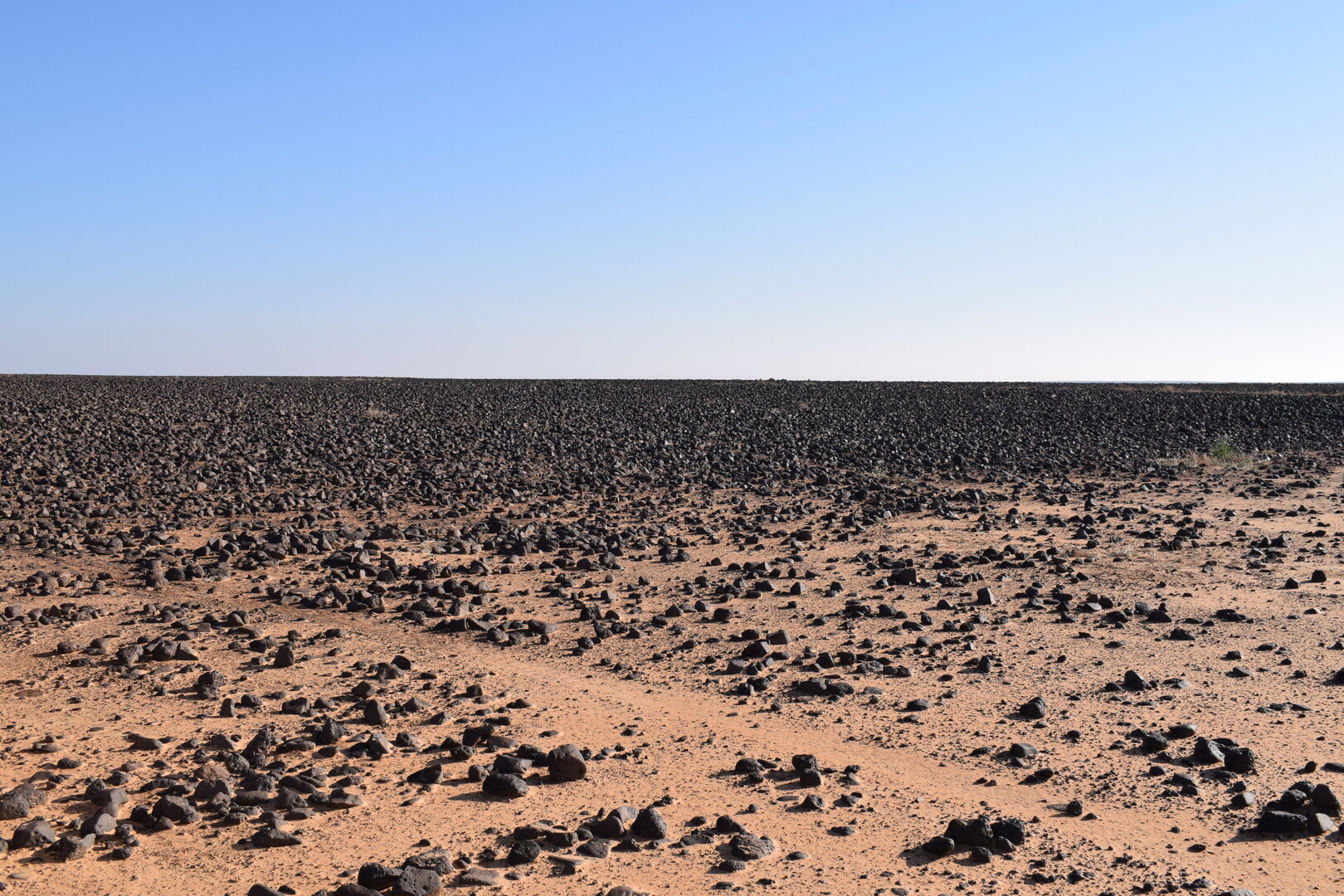 Image of siglum BES20 1361