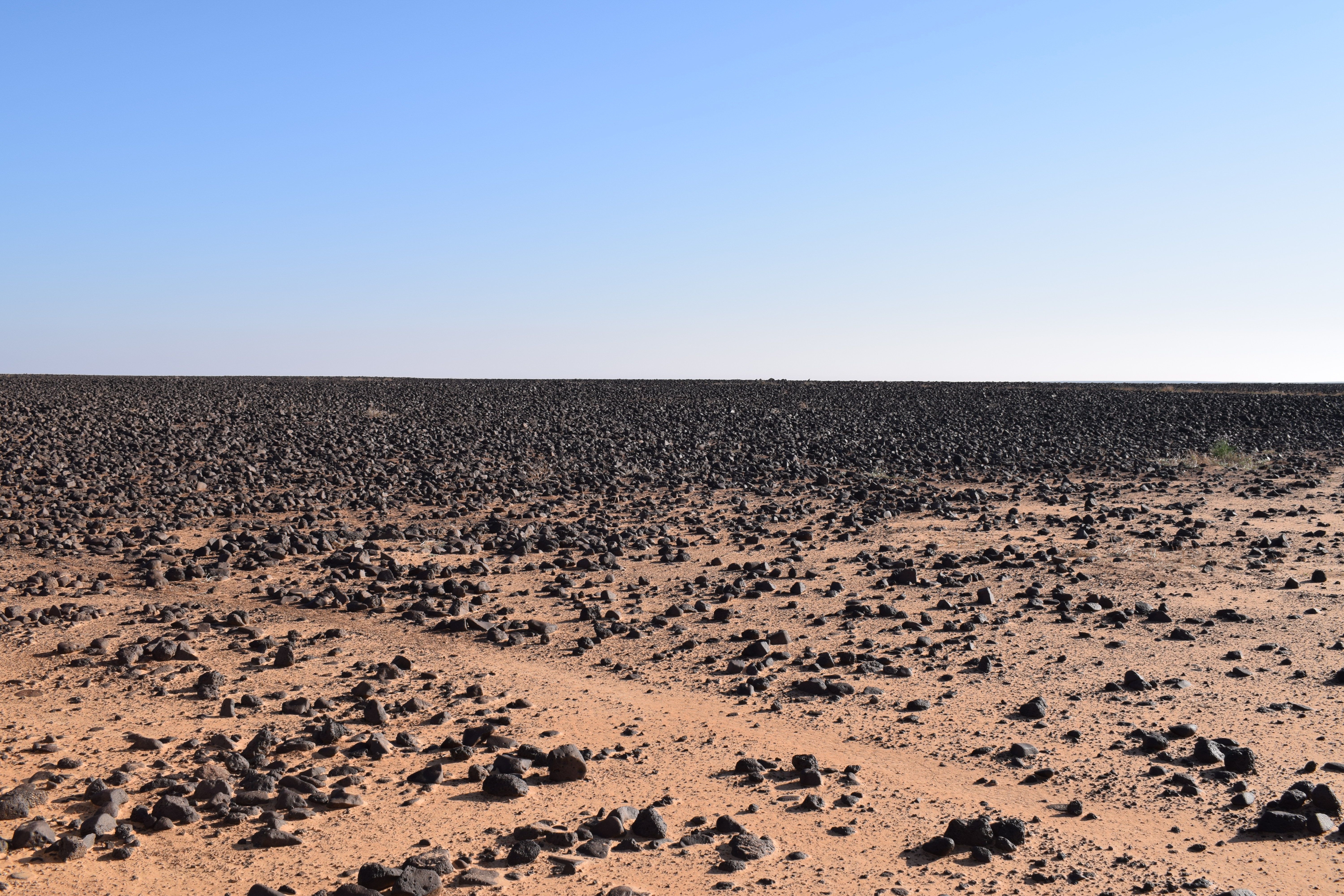 Image of siglum BES20 1362