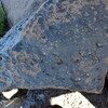 Image of siglum BES20 1362