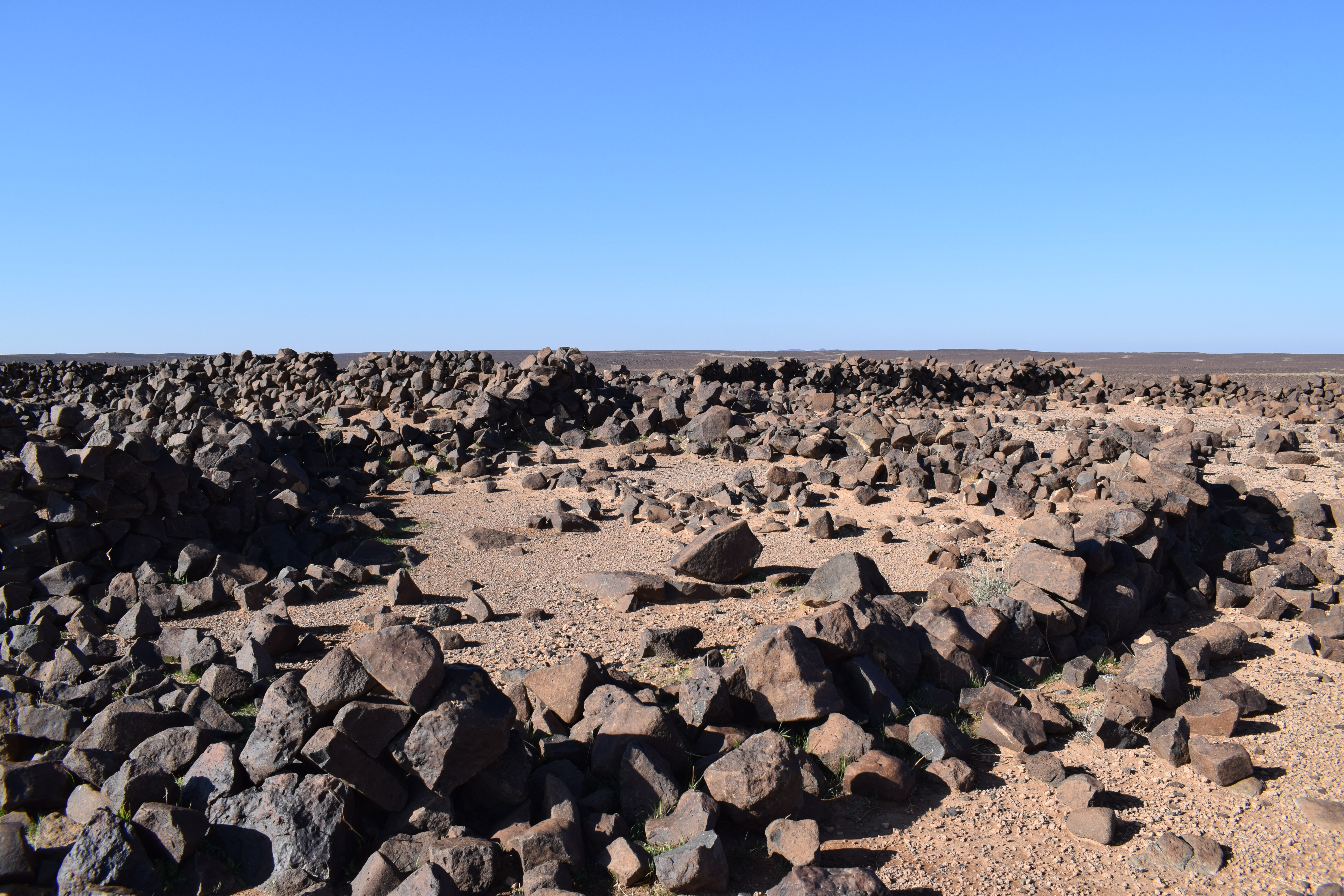 Image of siglum BES20 1364