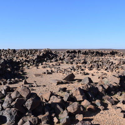 Image of siglum BES20 1365