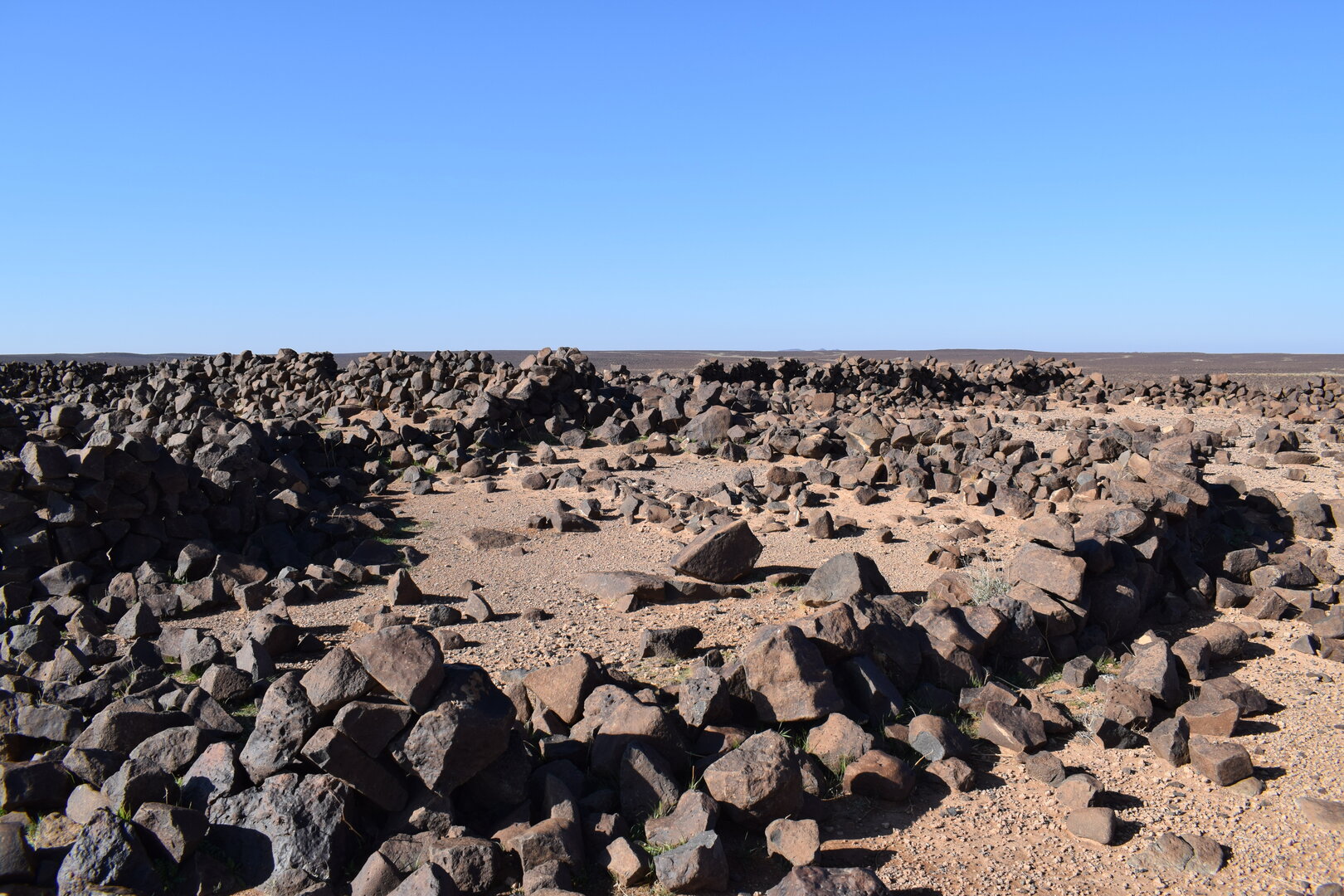 Image of siglum BES20 1365