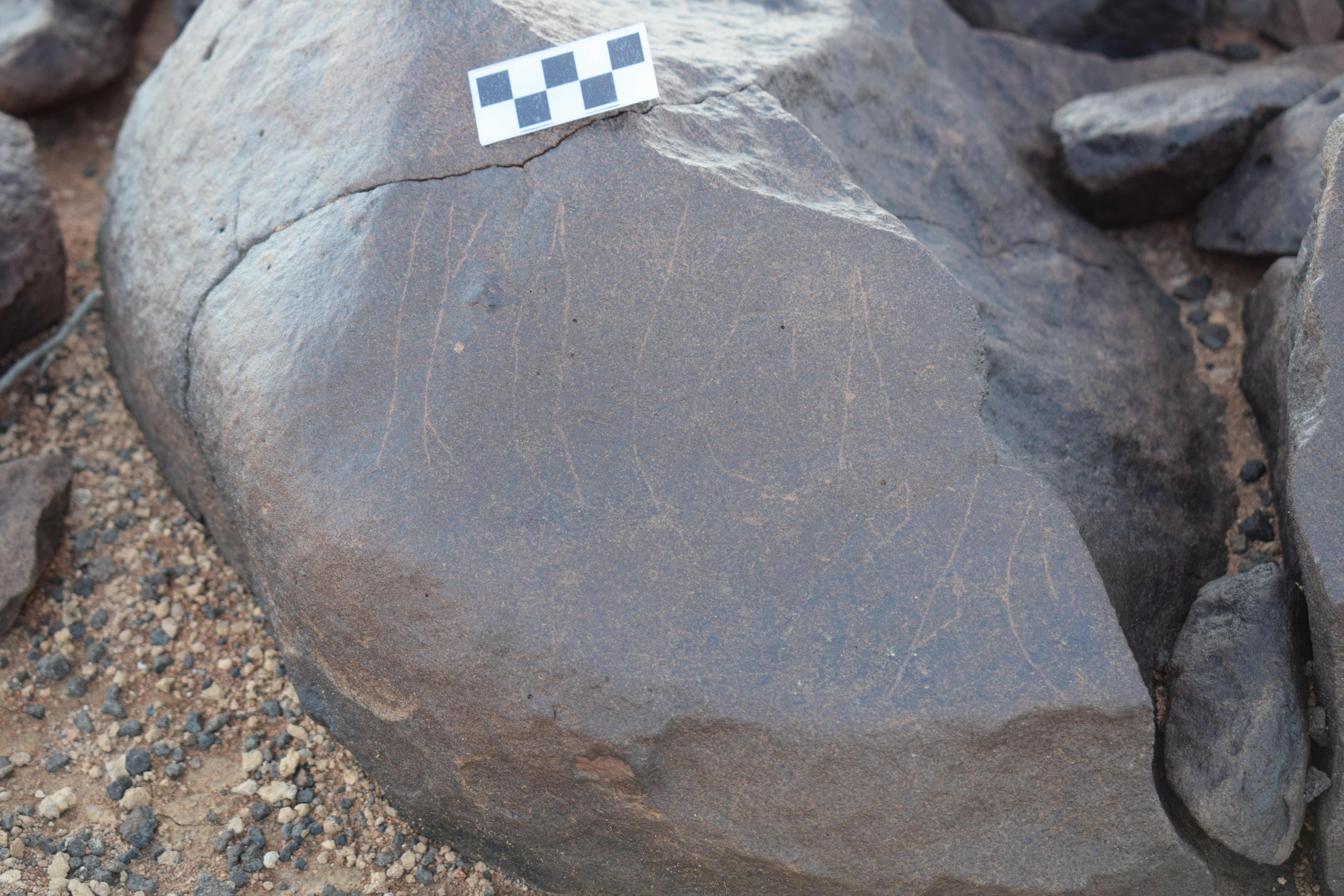 Image of siglum BES20 1366