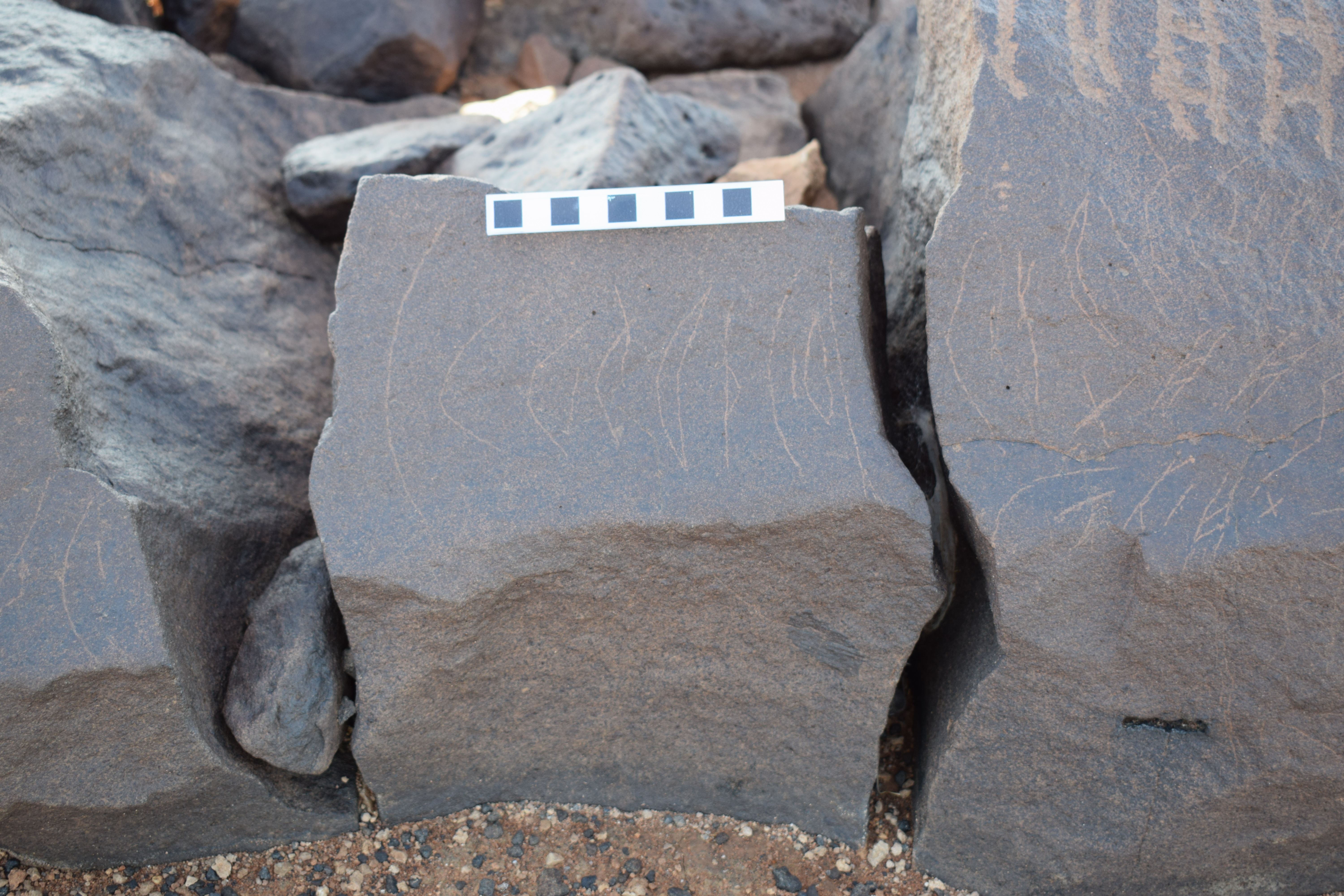 Image of siglum BES20 1367