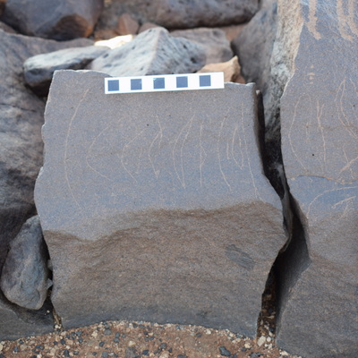 Image of siglum BES20 1367