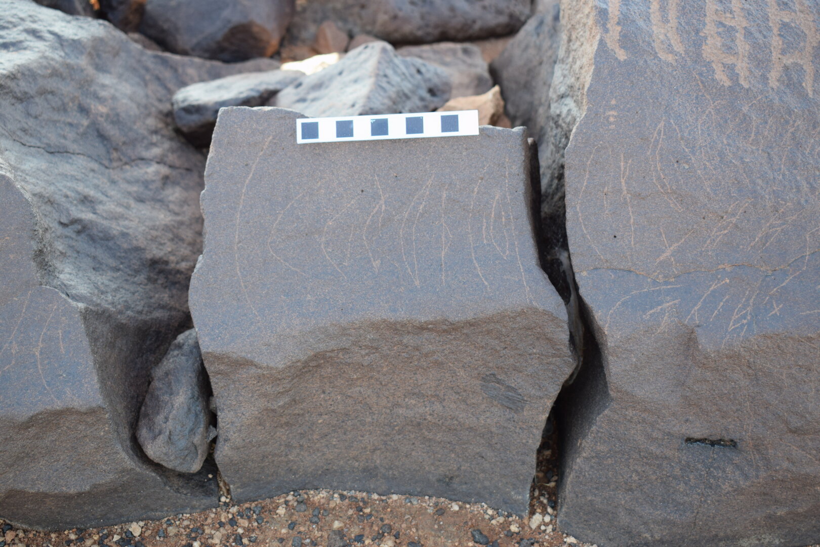 Image of siglum BES20 1367