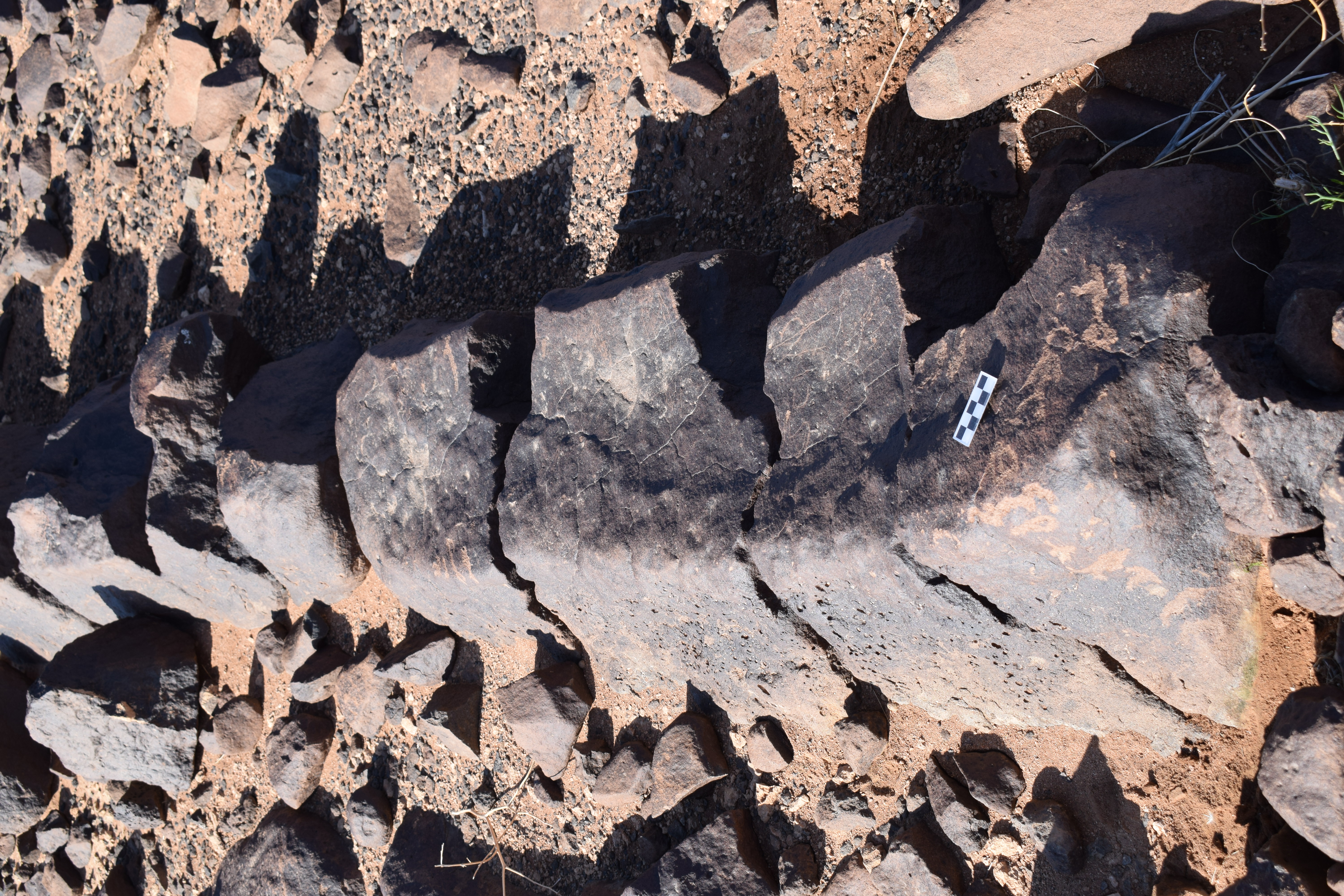 Image of siglum BES20 1371