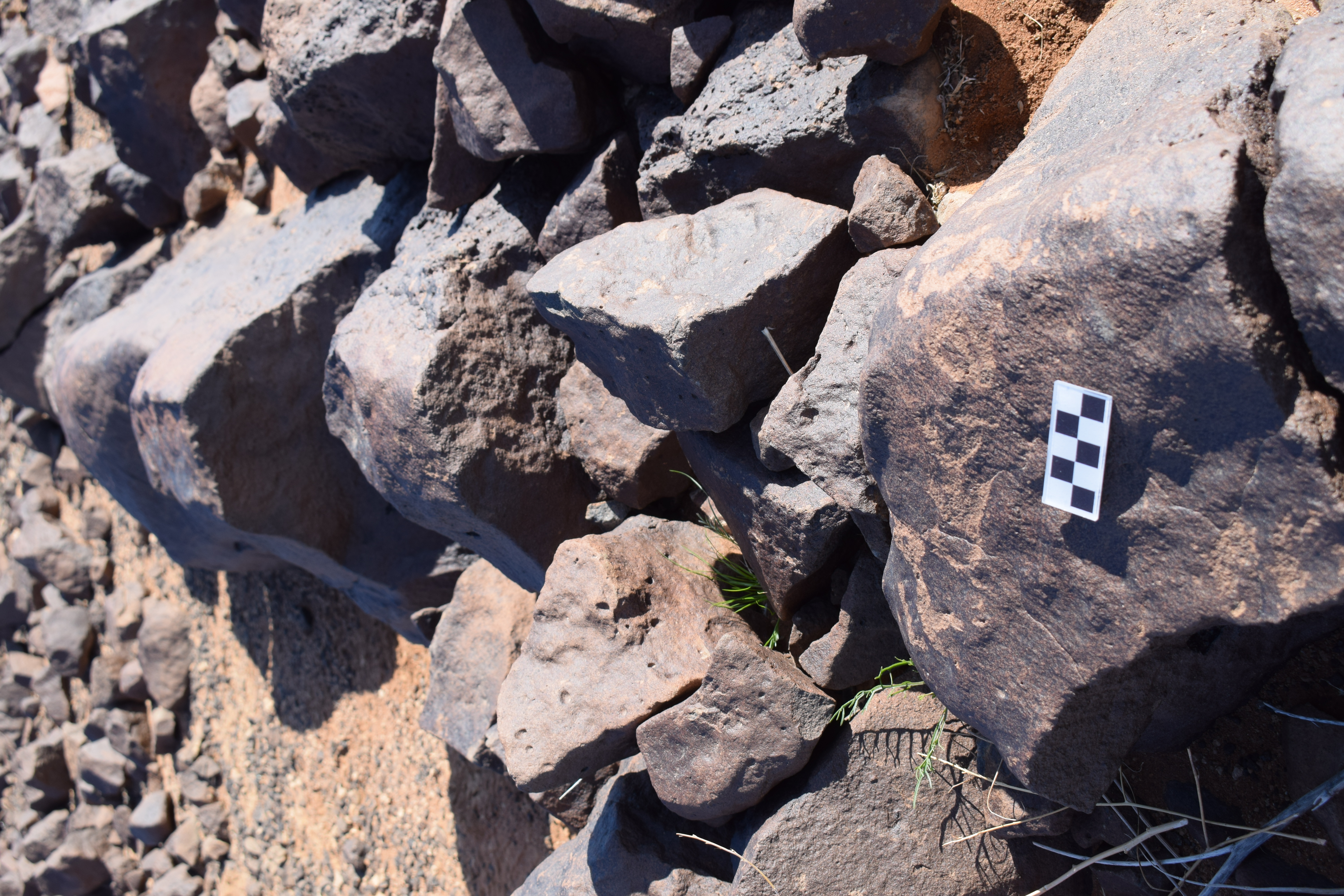 Image of siglum BES20 1371