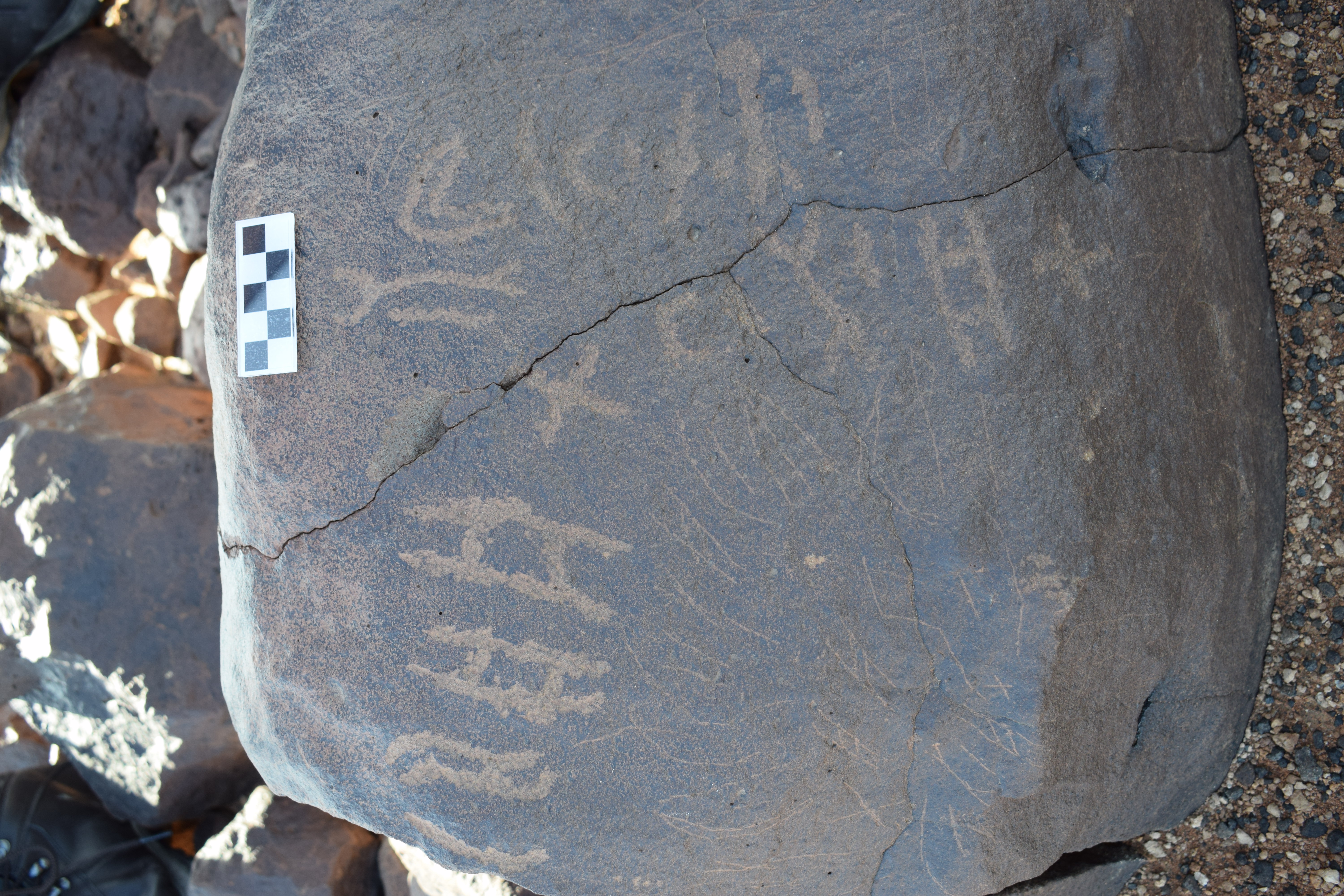 Image of siglum BES20 1372