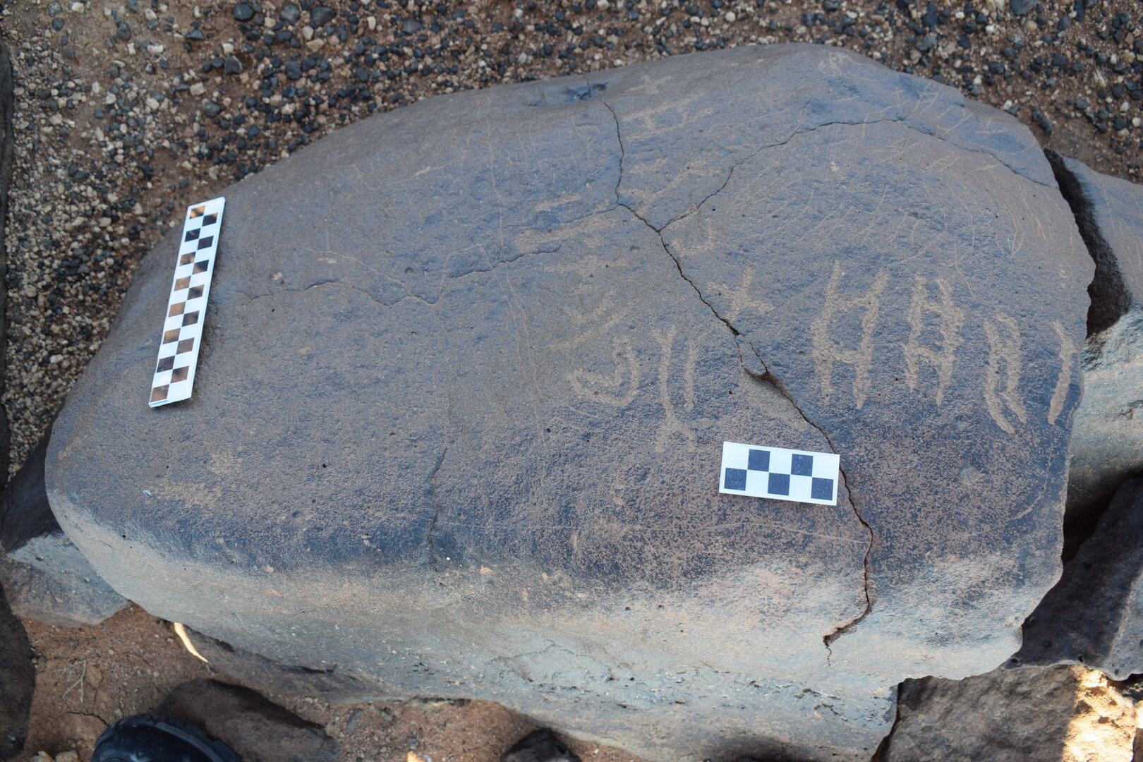 Image of siglum BES20 1372