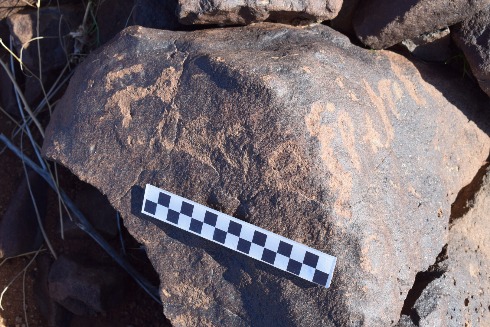 Image of siglum BES20 1372