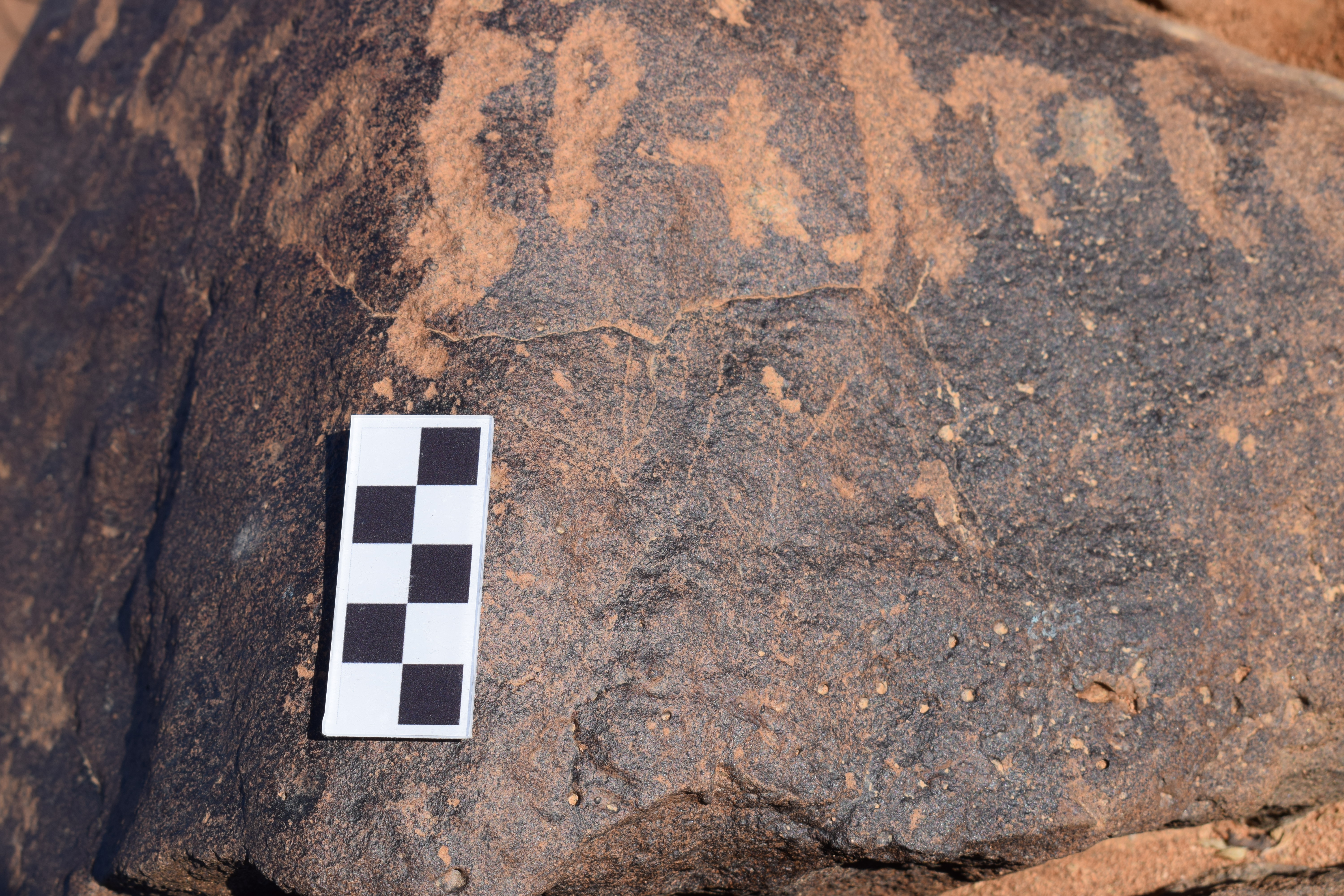 Image of siglum BES20 1374