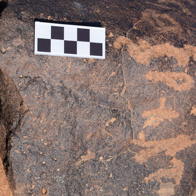Image of siglum BES20 1374
