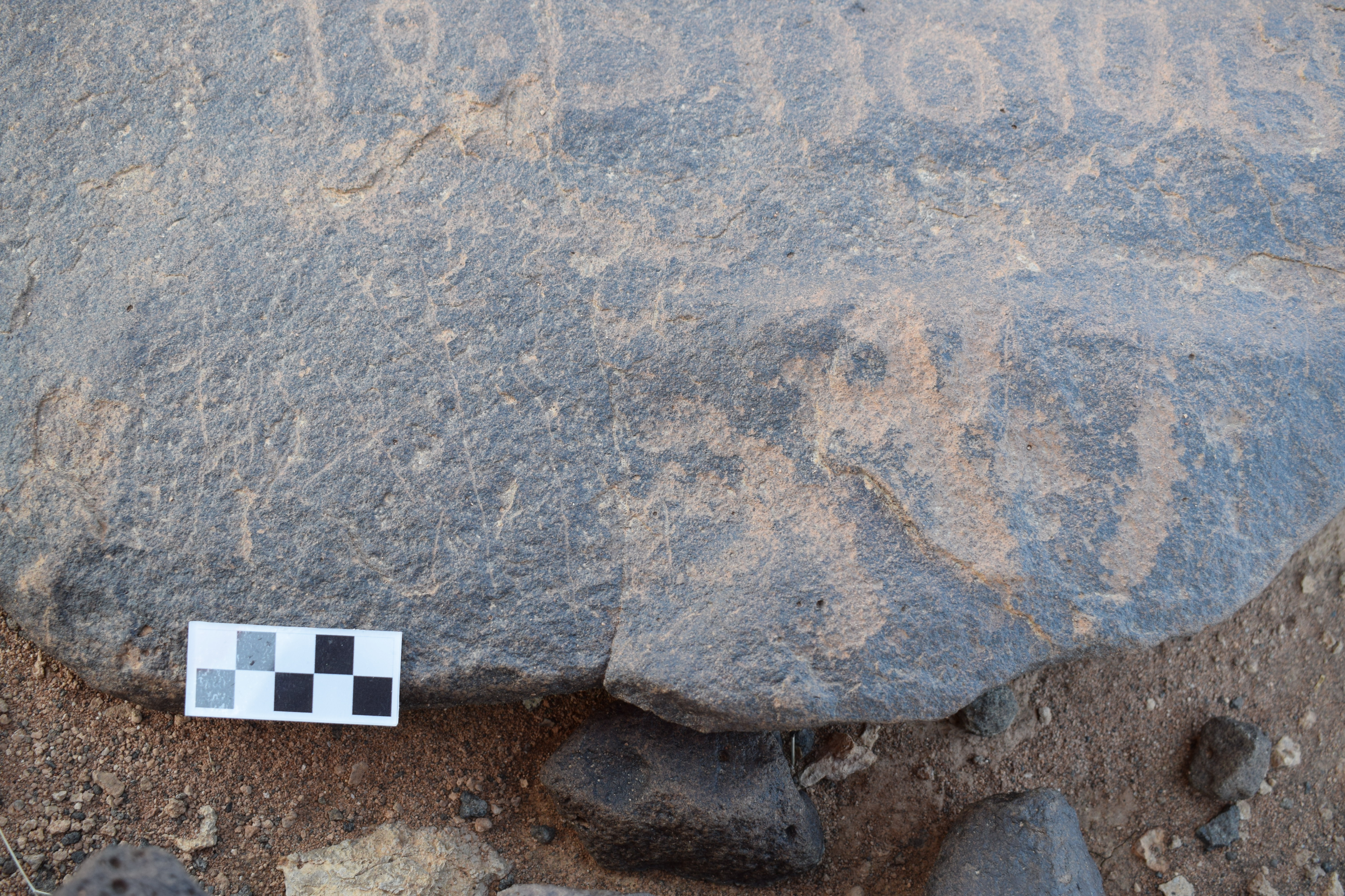 Image of siglum BES20 1376