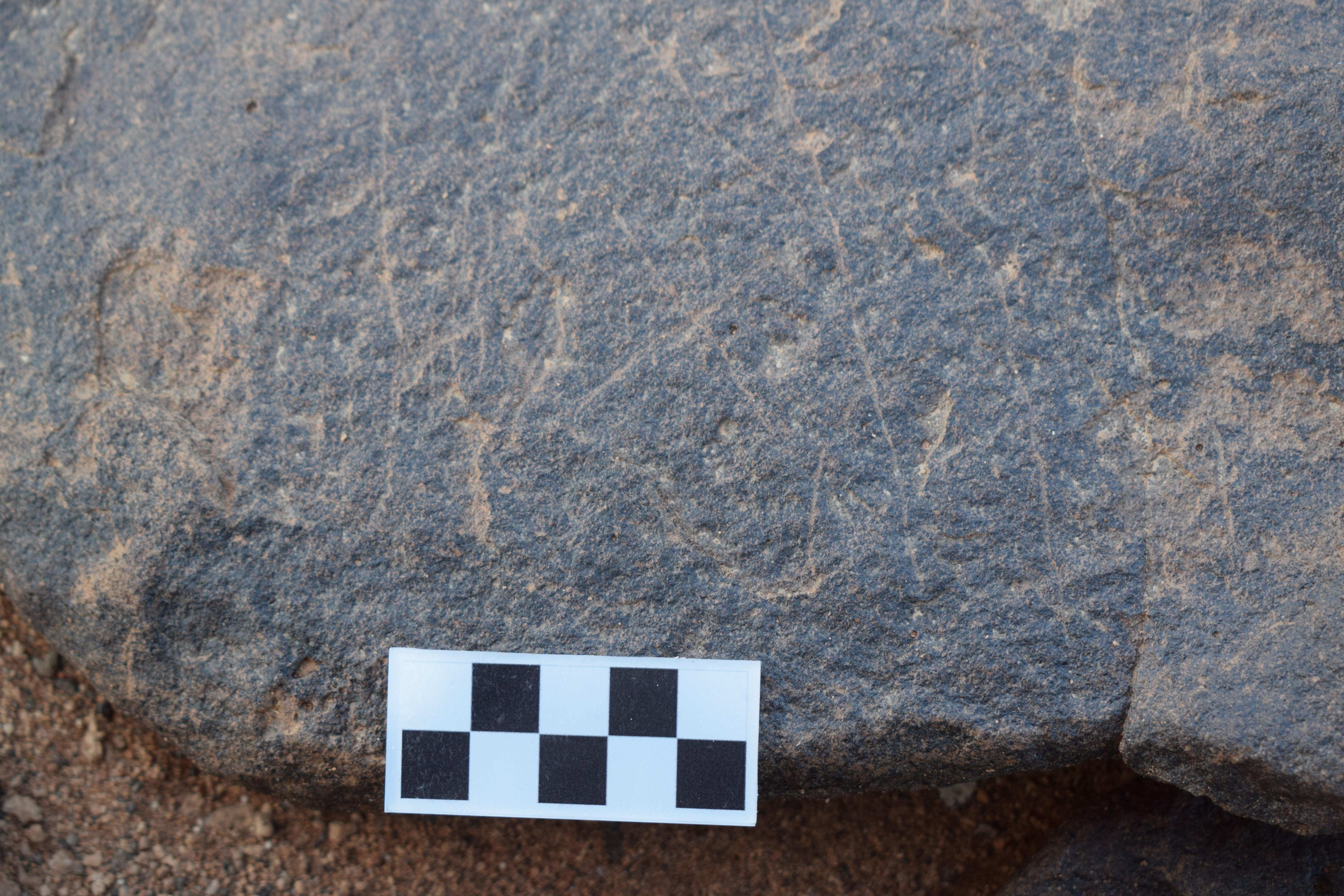 Image of siglum BES20 1376